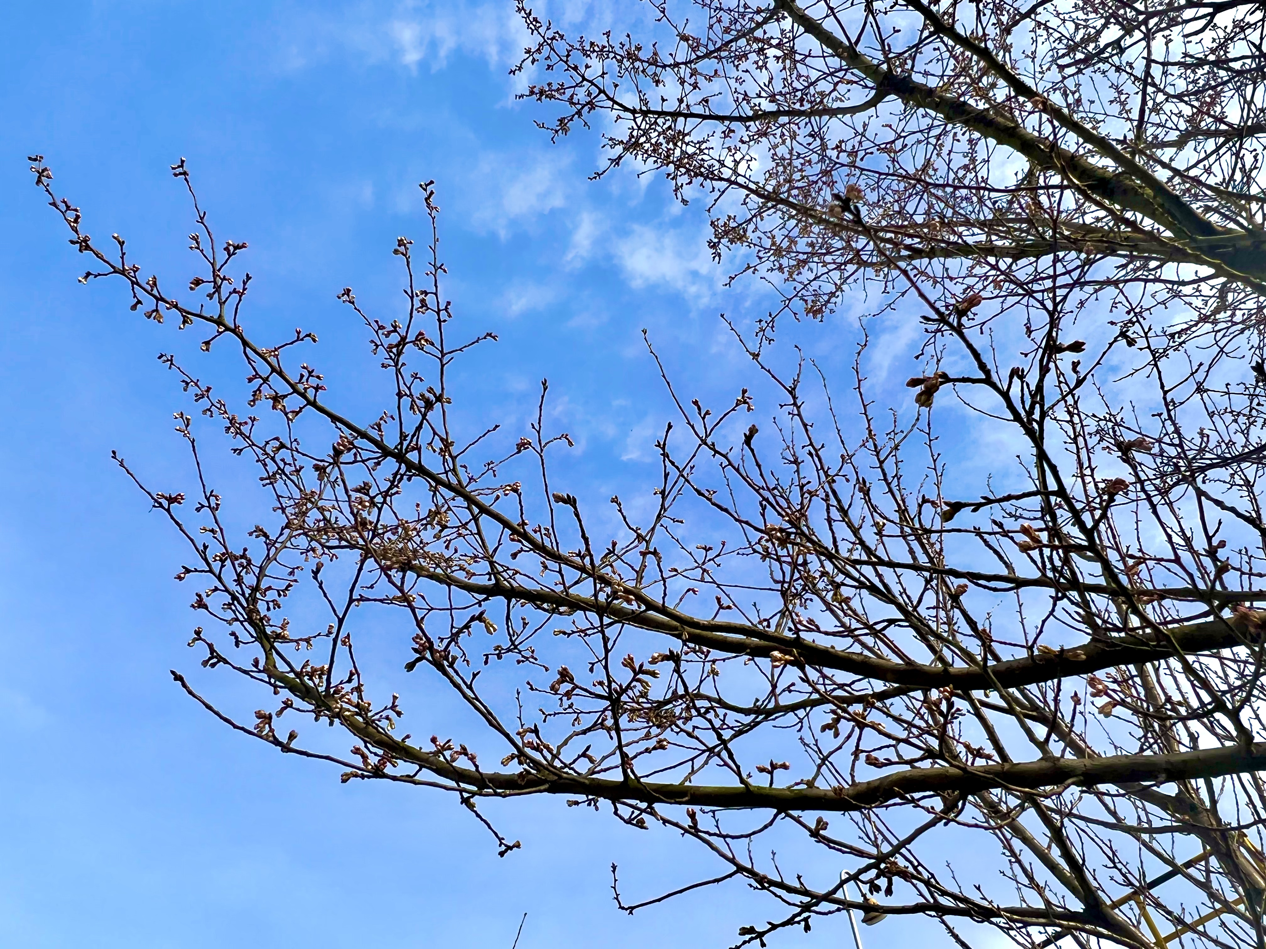 “钢”好遇见“春” “钢”好遇见“春”