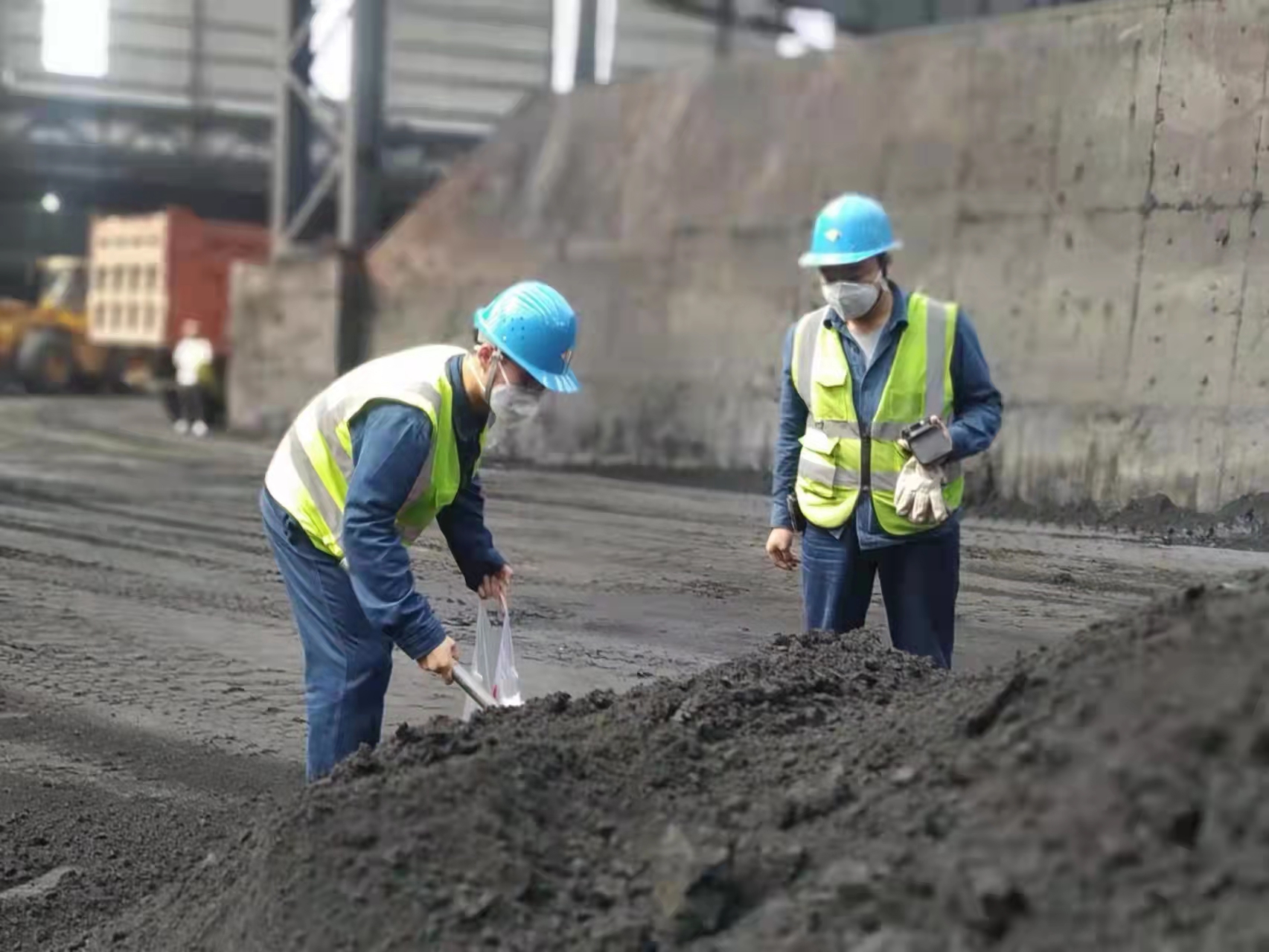 “廉”盛“禹龙”，护牢品牌精品果实