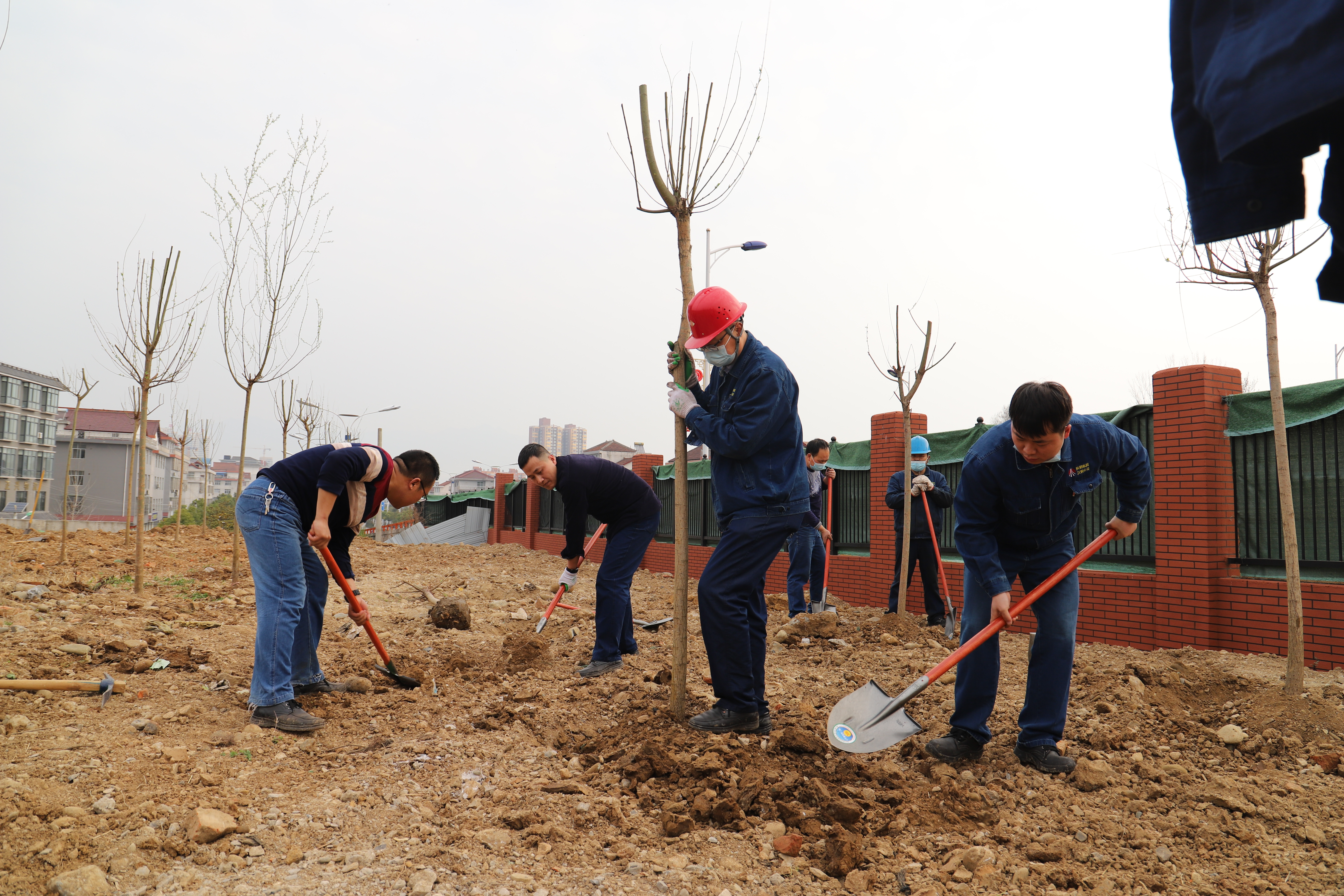 打造“绿”名片,推进新发展 打造“绿”名片,推进新发展