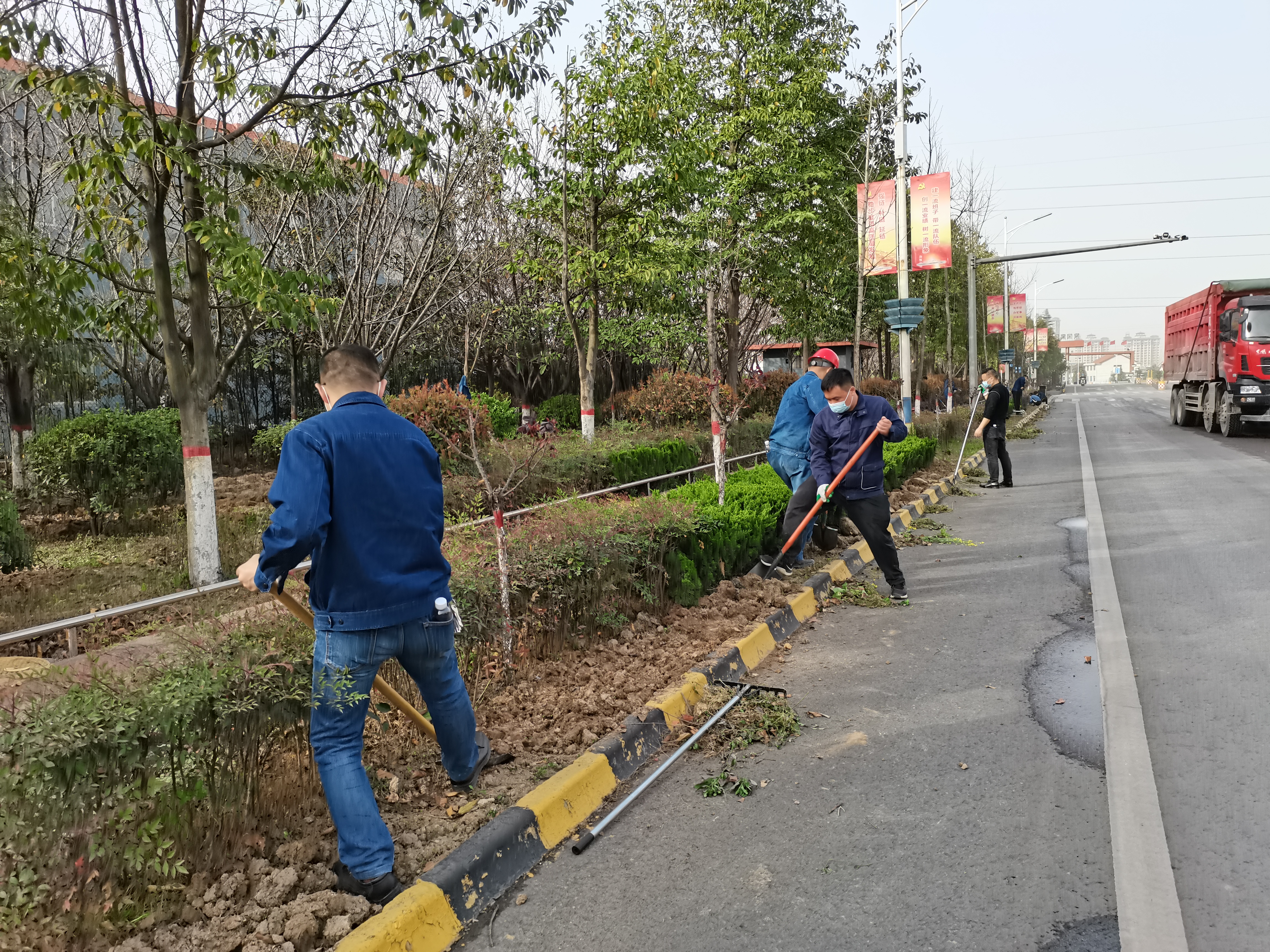 添绿加彩正当时！机关党委开展义务劳动活动