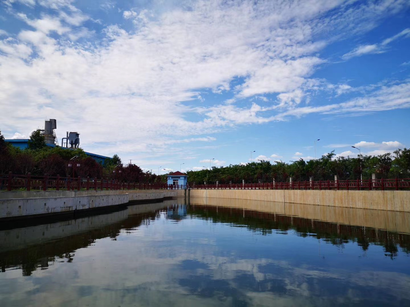 绿意盈盈，引领汉钢新“时尚”