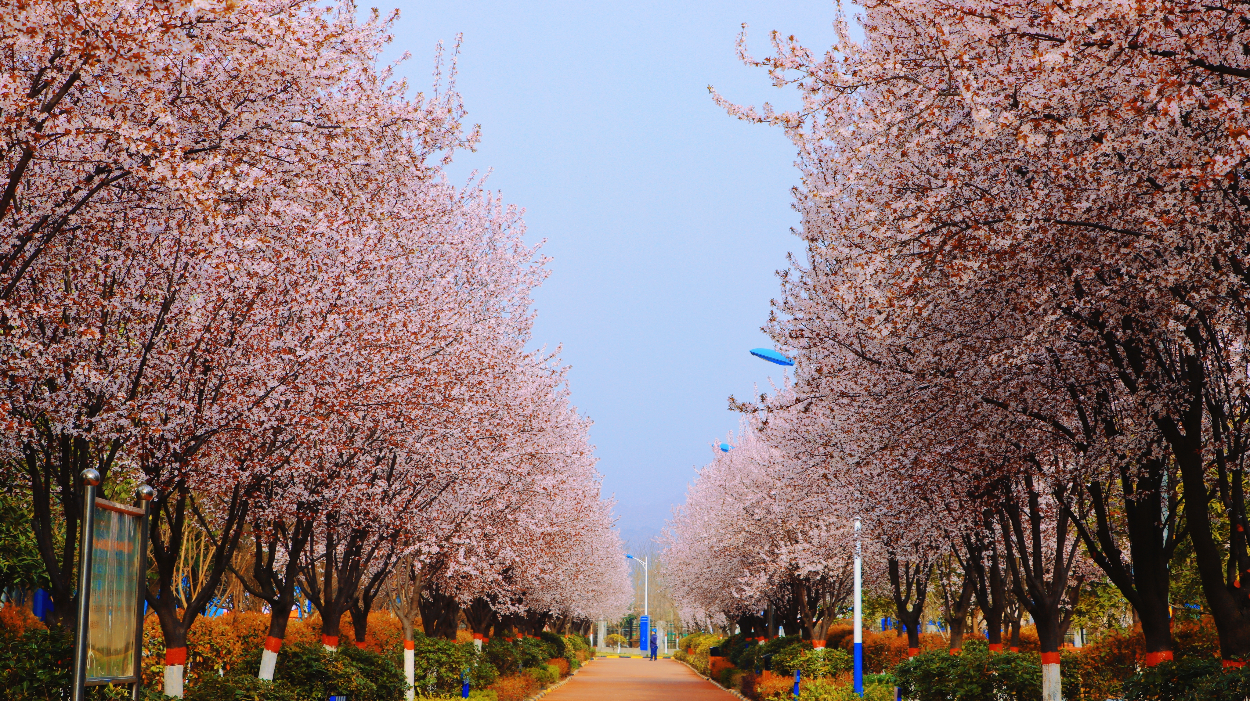 绿意盈盈，引领汉钢新“时尚”