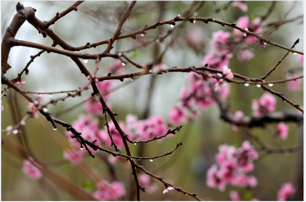 在希望的田野上 在希望的田野上