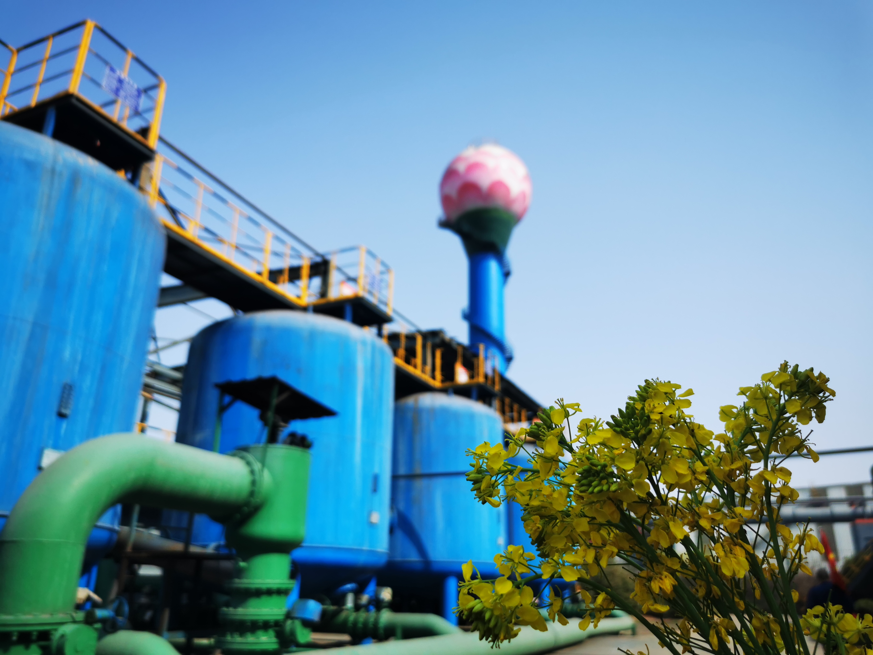 厚植环保沃土,探索“绿”文化建设新模式 厚植环保沃土,探索“绿”文化建设新模式