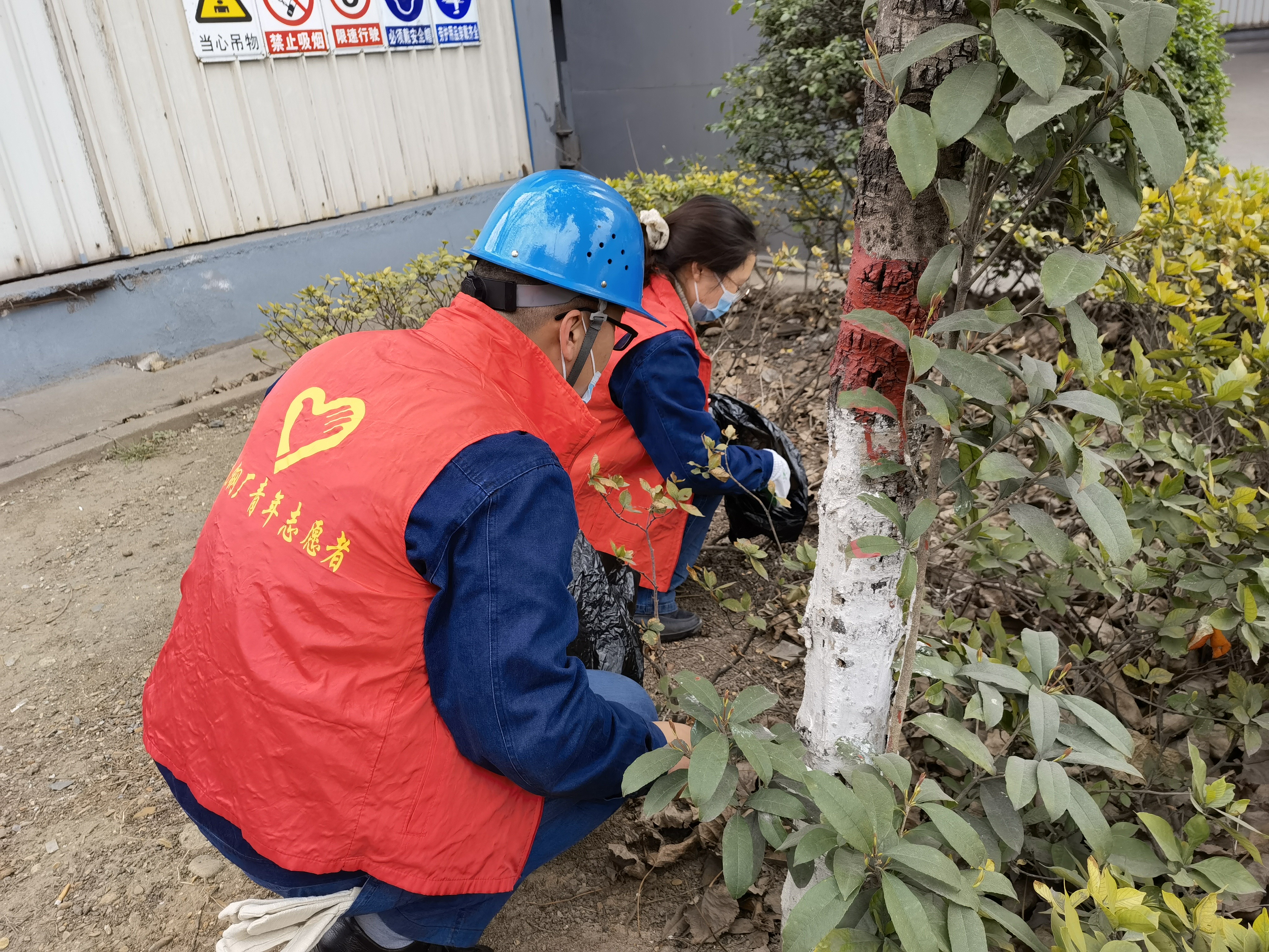 青春有爱  让“志愿红”尽情绽放