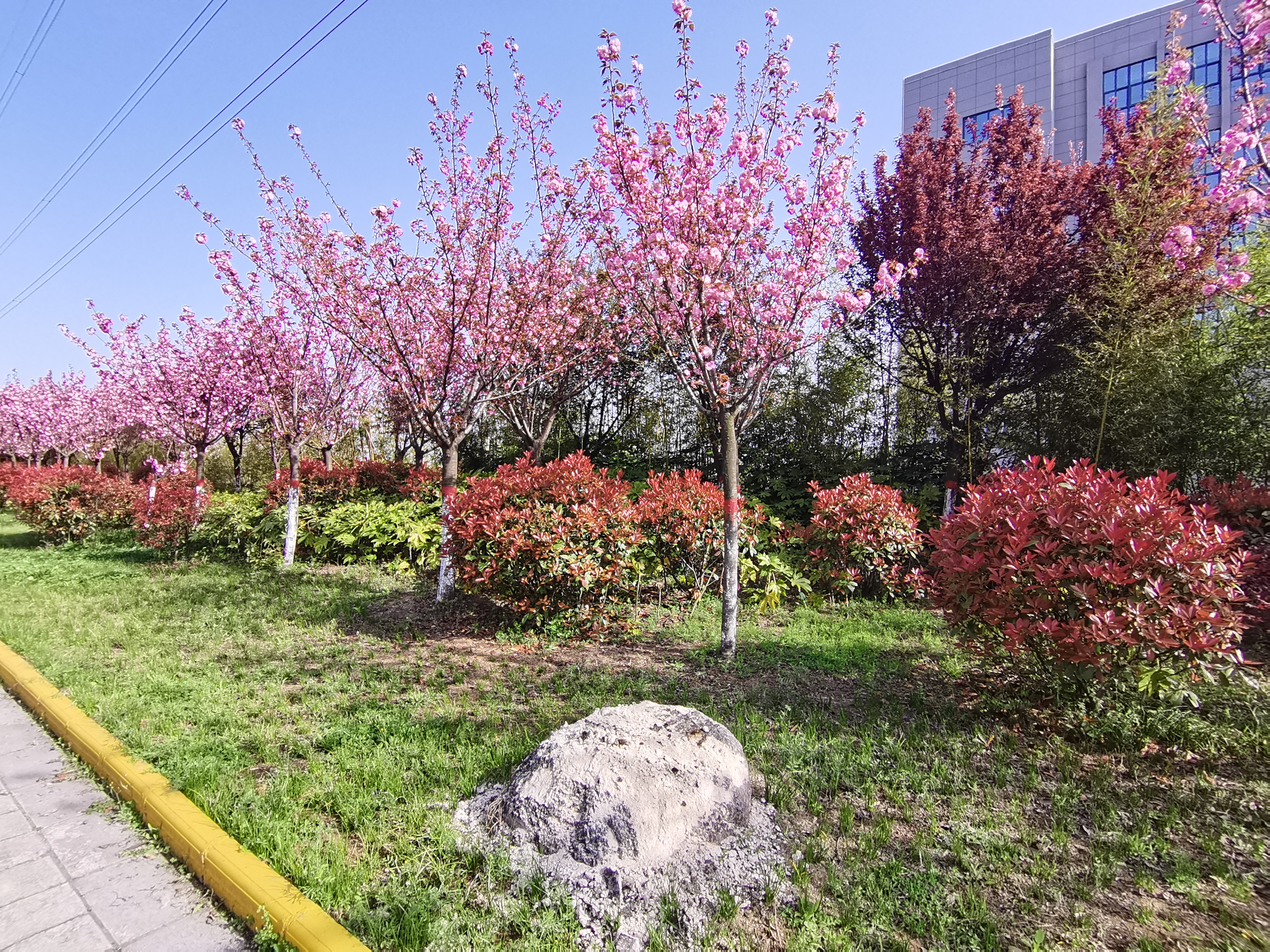 最美不过汉钢春 最美不过汉钢春