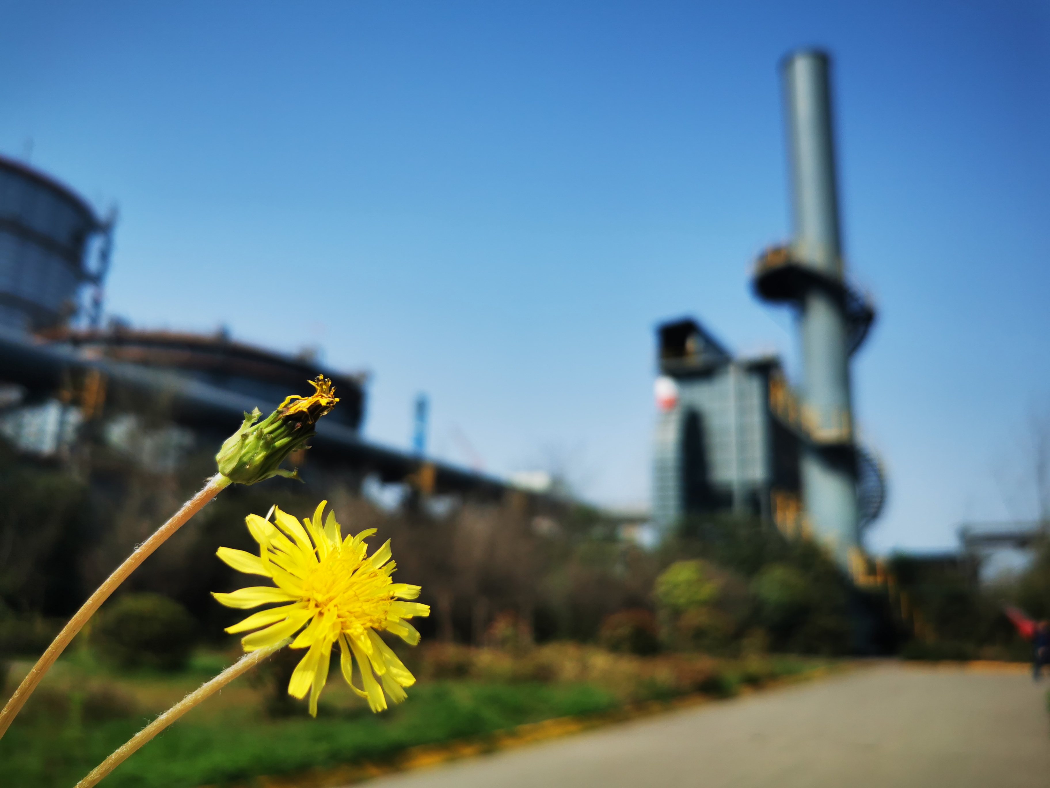 邀您“打卡”炼钢之春