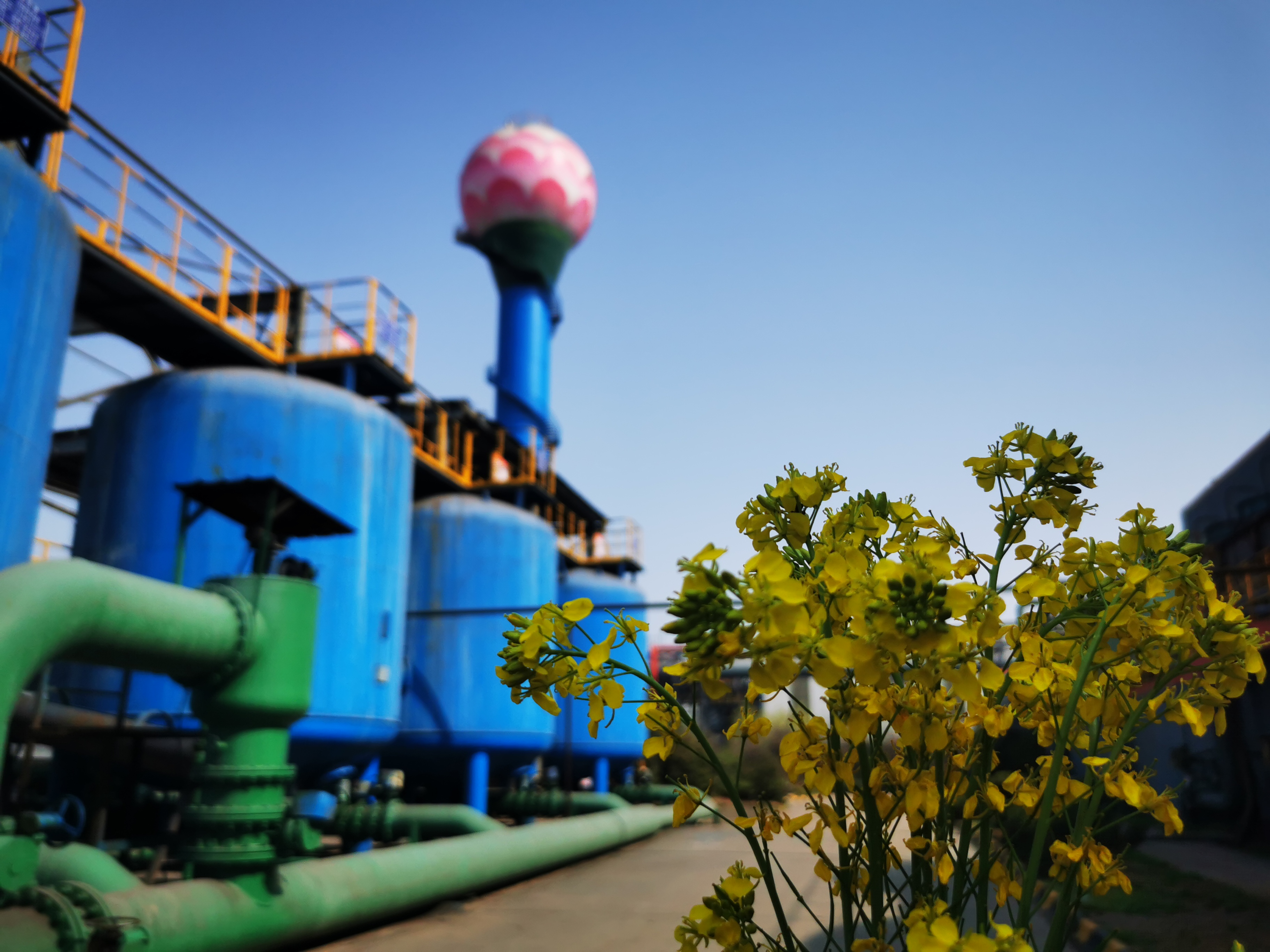 邀您“打卡”炼钢之春