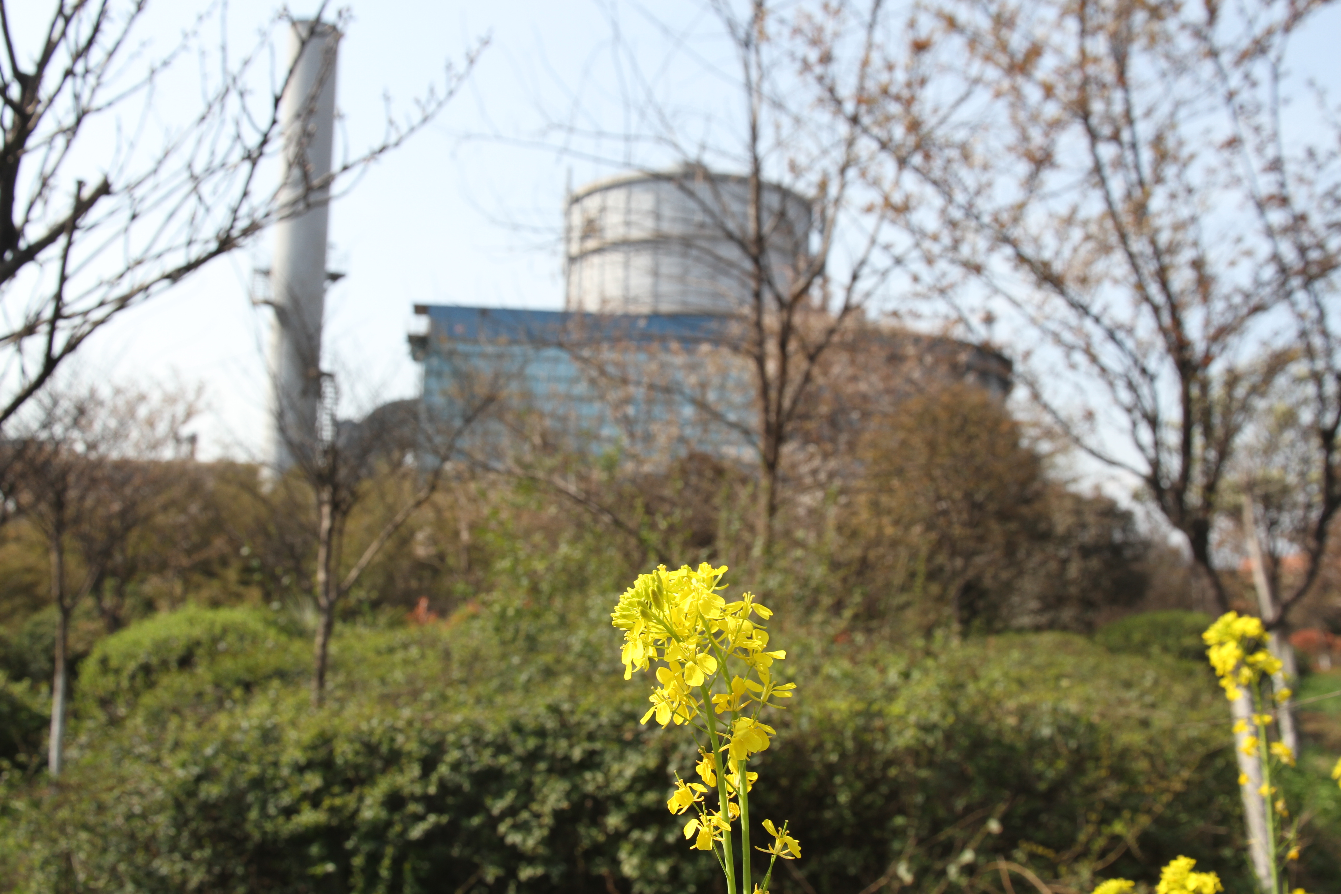 邀您“打卡”炼钢之春