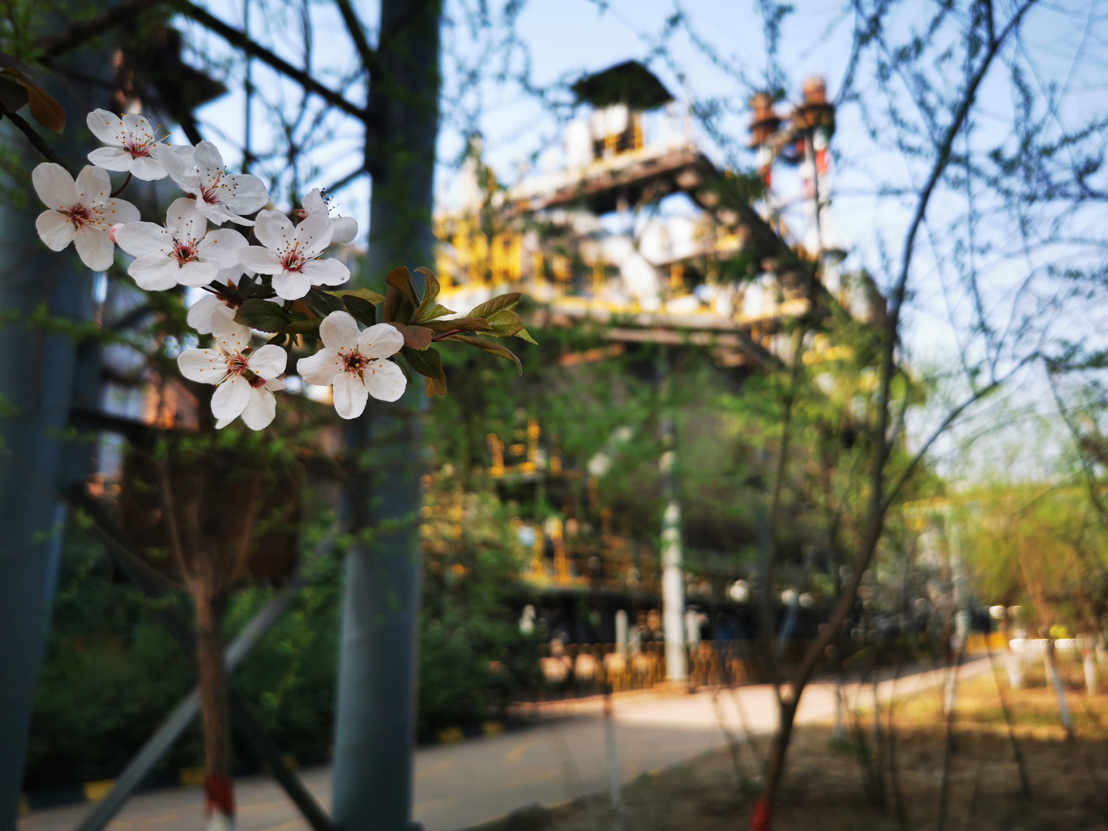 邀您“打卡”炼钢之春