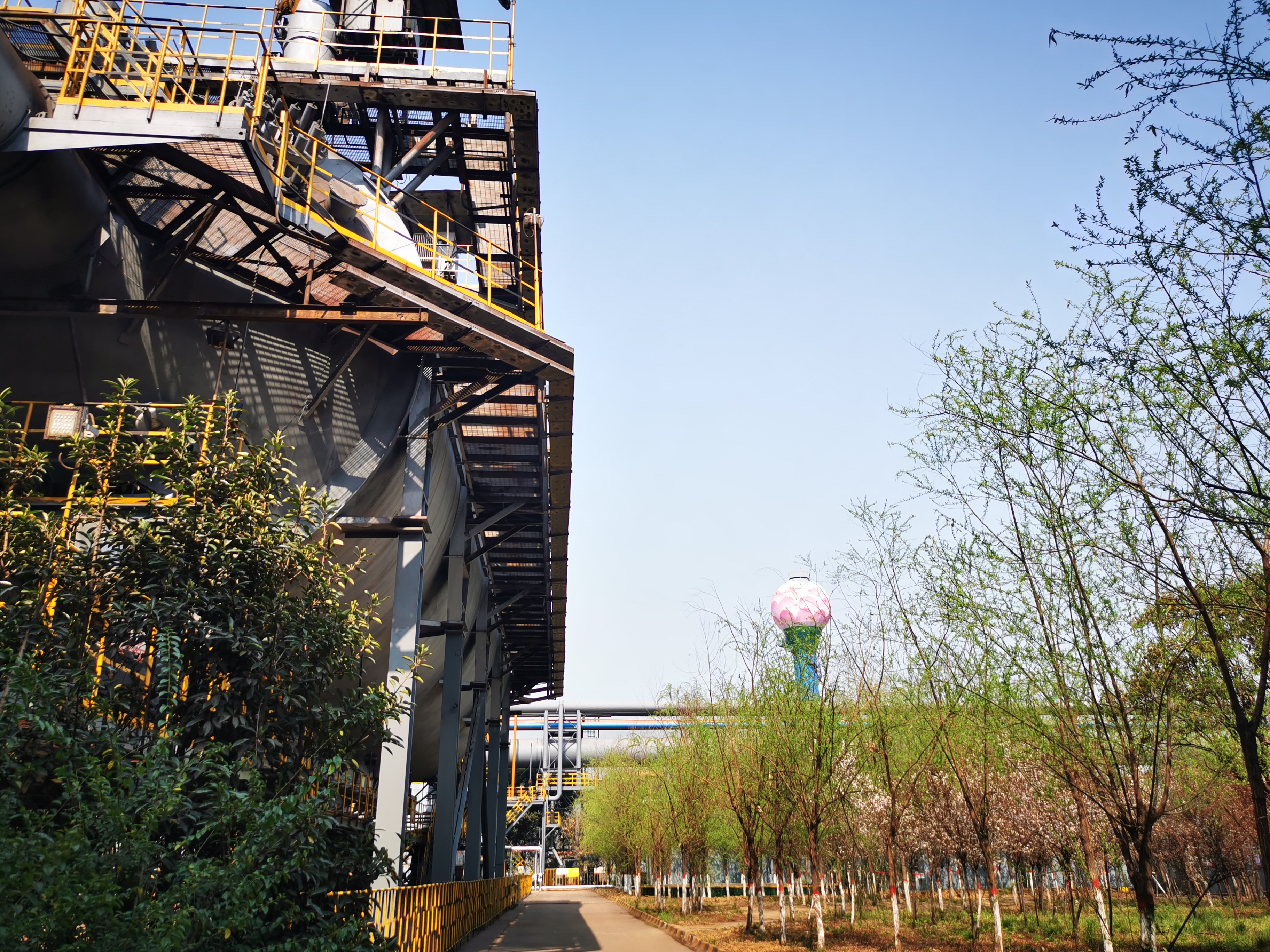 邀您“打卡”炼钢之春