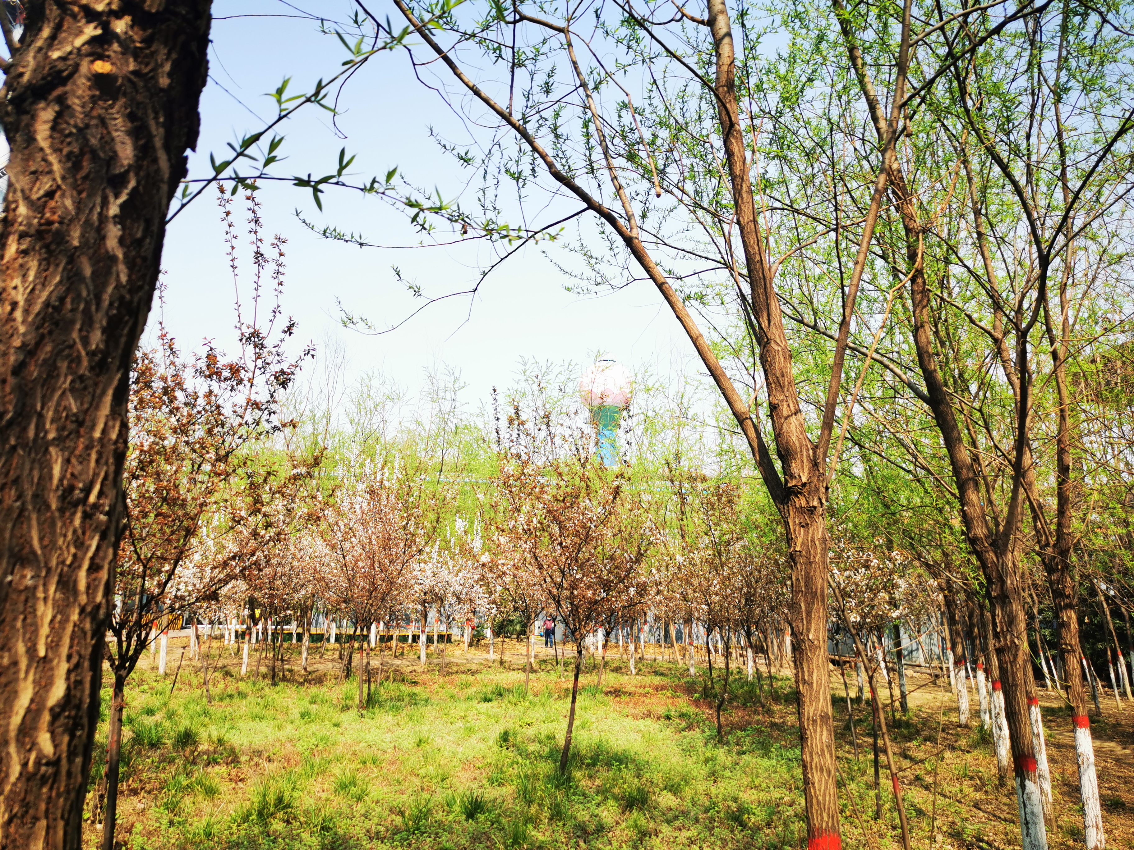 邀您“打卡”炼钢之春