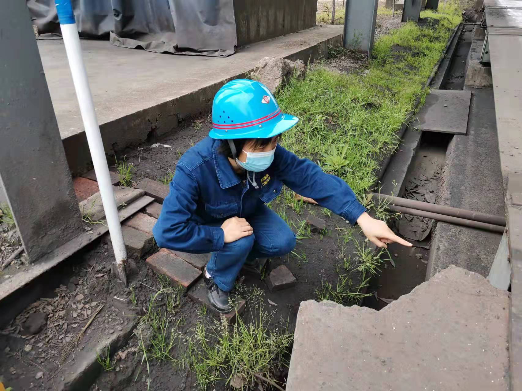 瞧,她们这“三剑客” 瞧,她们这“三剑客”
