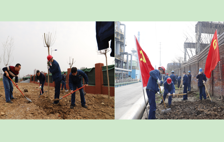 春播正当时，绿化争先行——烧结厂开展辖区绿化工作侧记