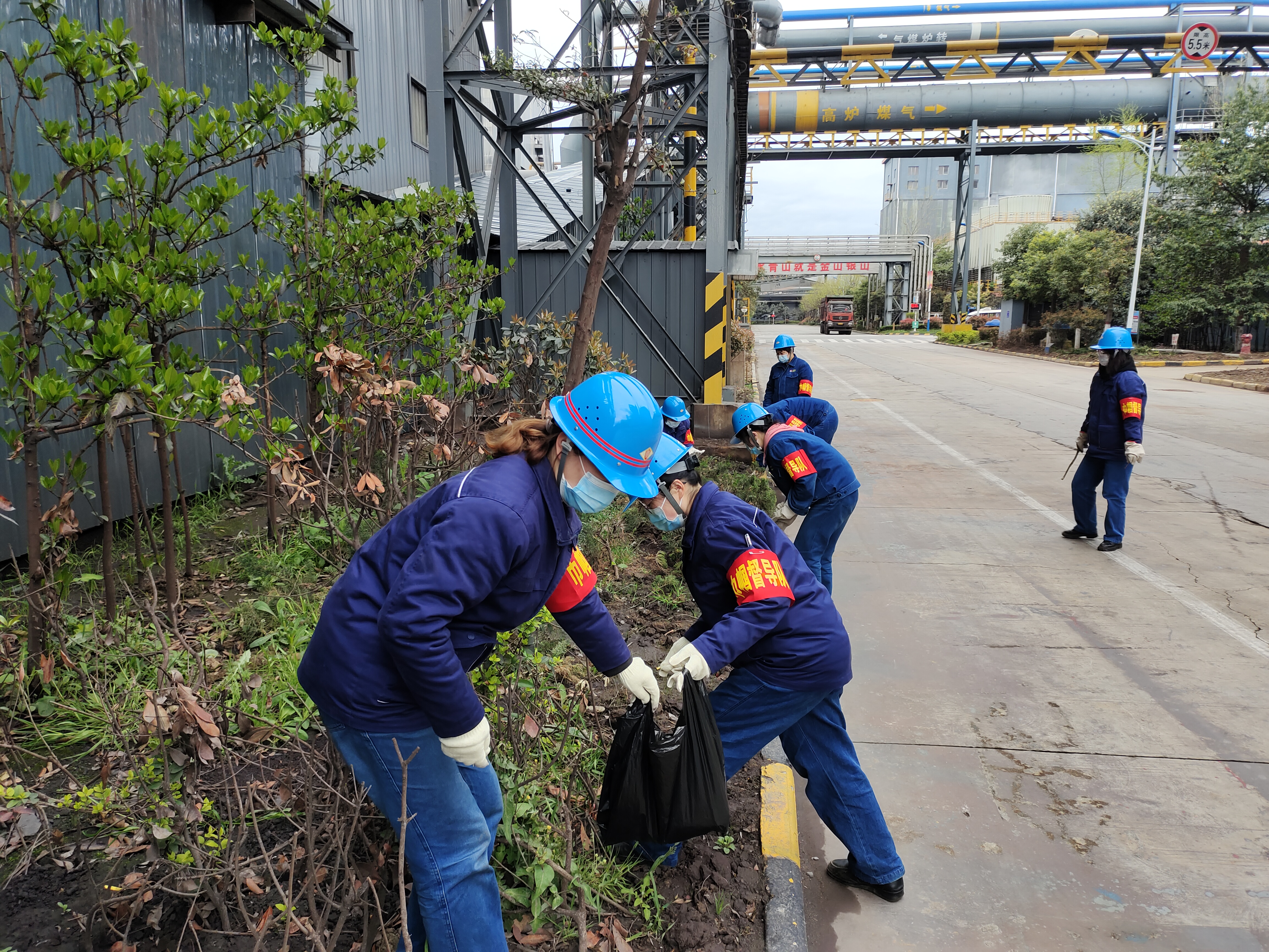 春播正当时，绿化争先行——烧结厂开展辖区绿化工作侧记