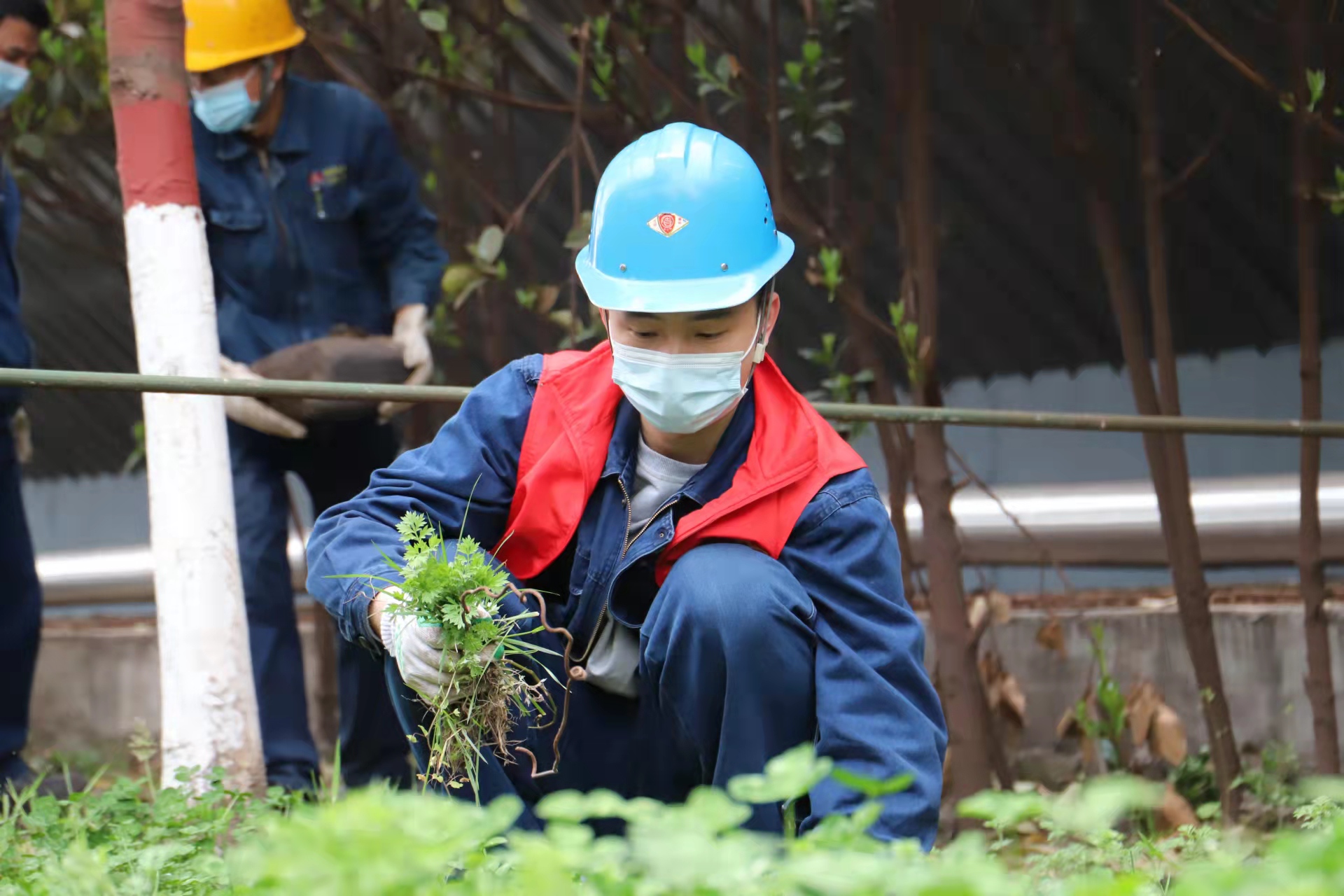 最美青安岗,共育“安全林” 最美青安岗,共育“安全林”