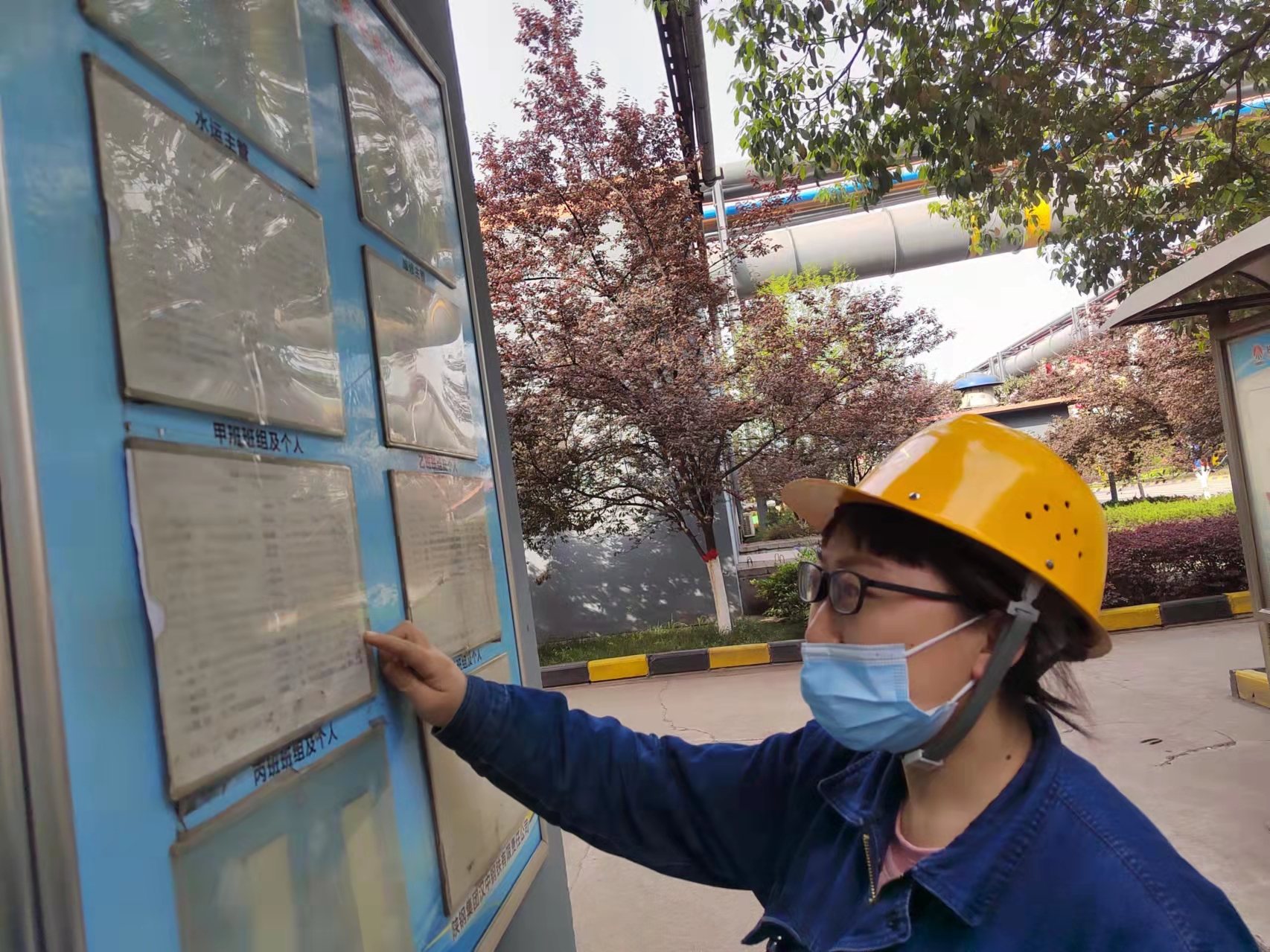 快看,检修现场的“三角梅” 快看,检修现场的“三角梅”