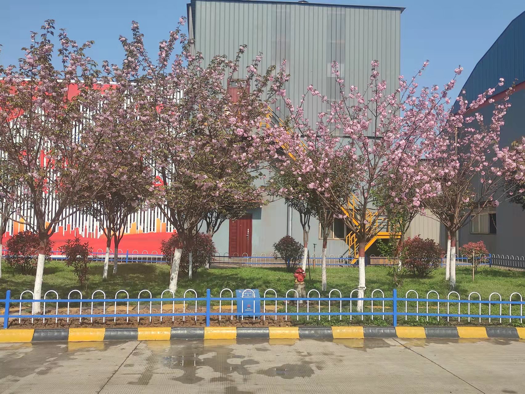 钢城春意浓  不负好时光