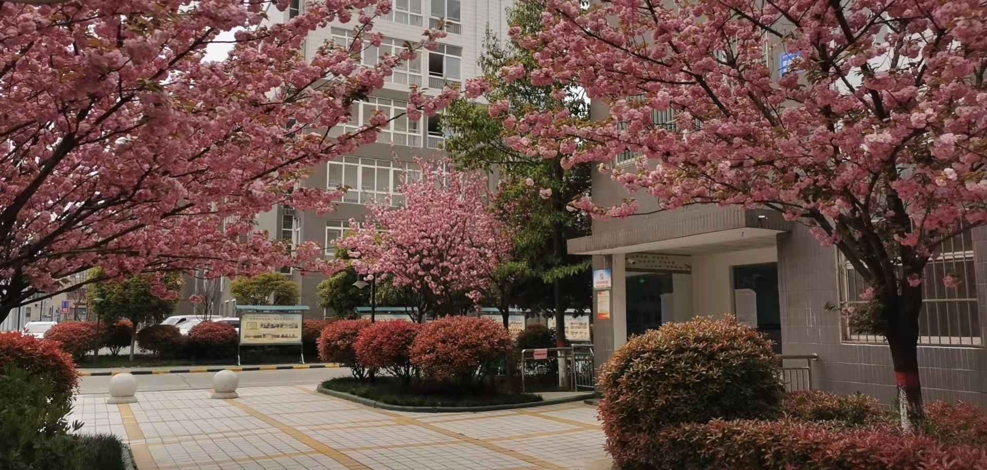 四个坚持让职工居住环境提档升级