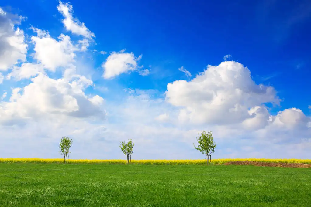 四月如期  春天你好