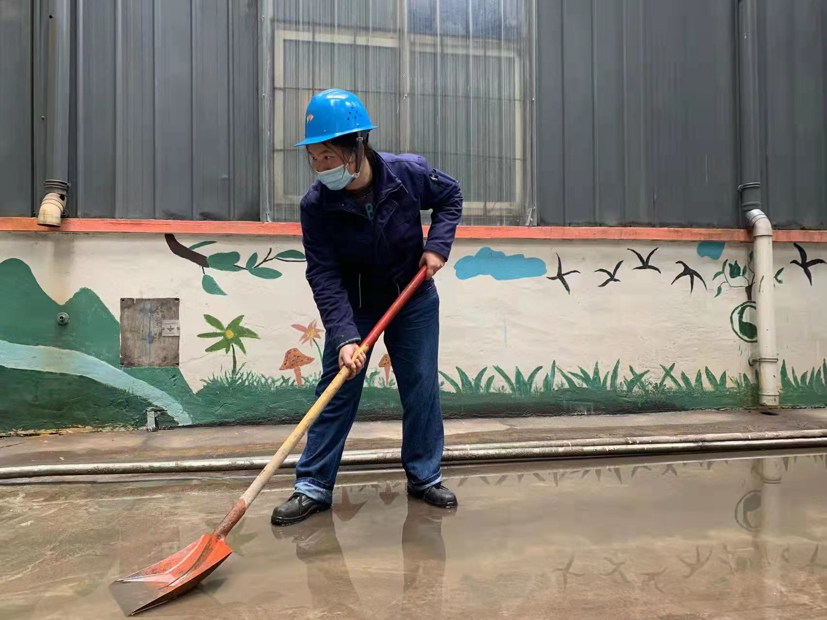 树榜样、立新风的好媳妇马娟 树榜样、立新风的好媳妇马娟