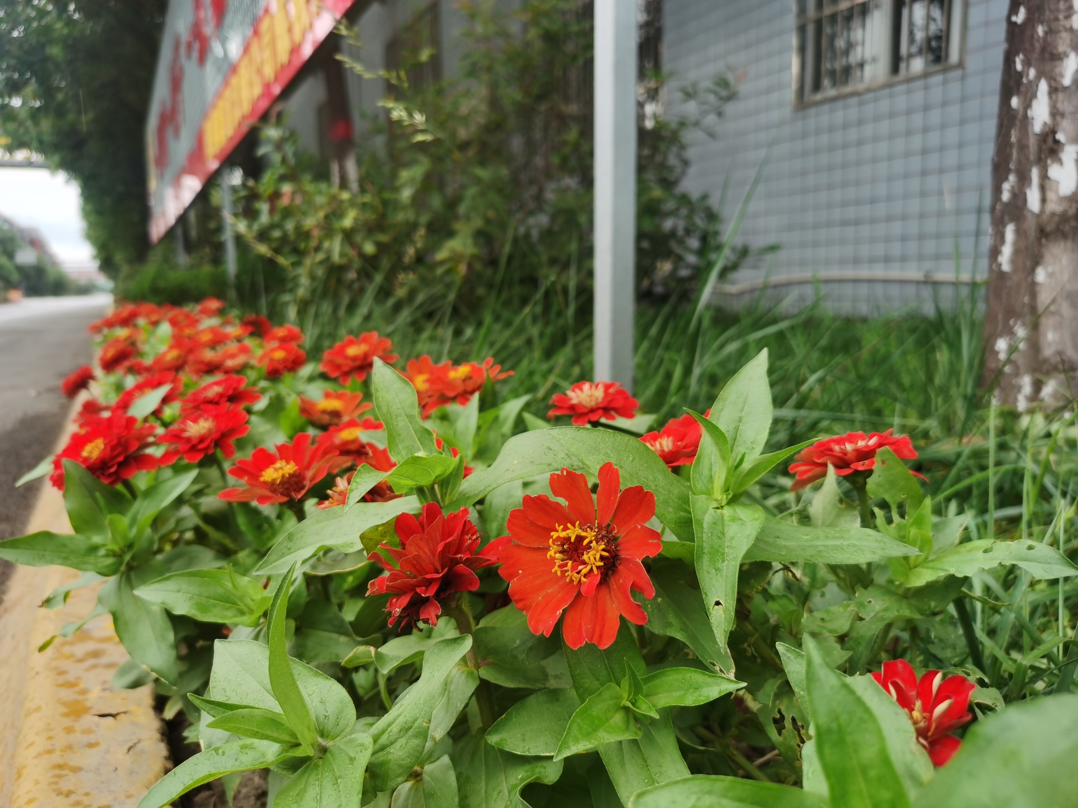 绘就绿色生态“新名片” 绘就绿色生态“新名片”