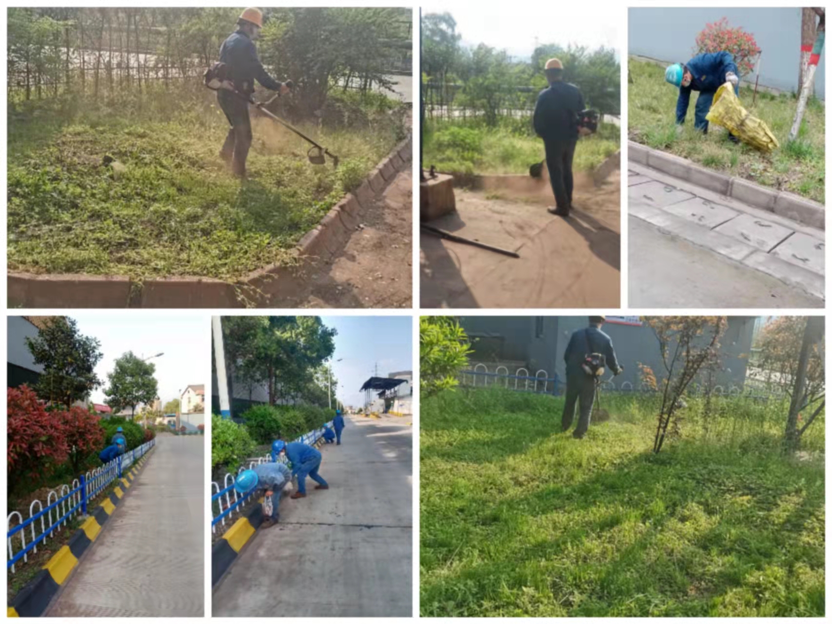 谱写“三部曲” 奏出“新乐章”