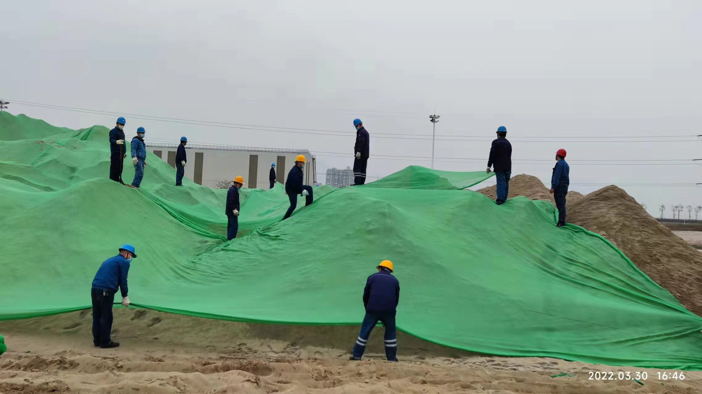 党建引领强作风，务实笃行提质效