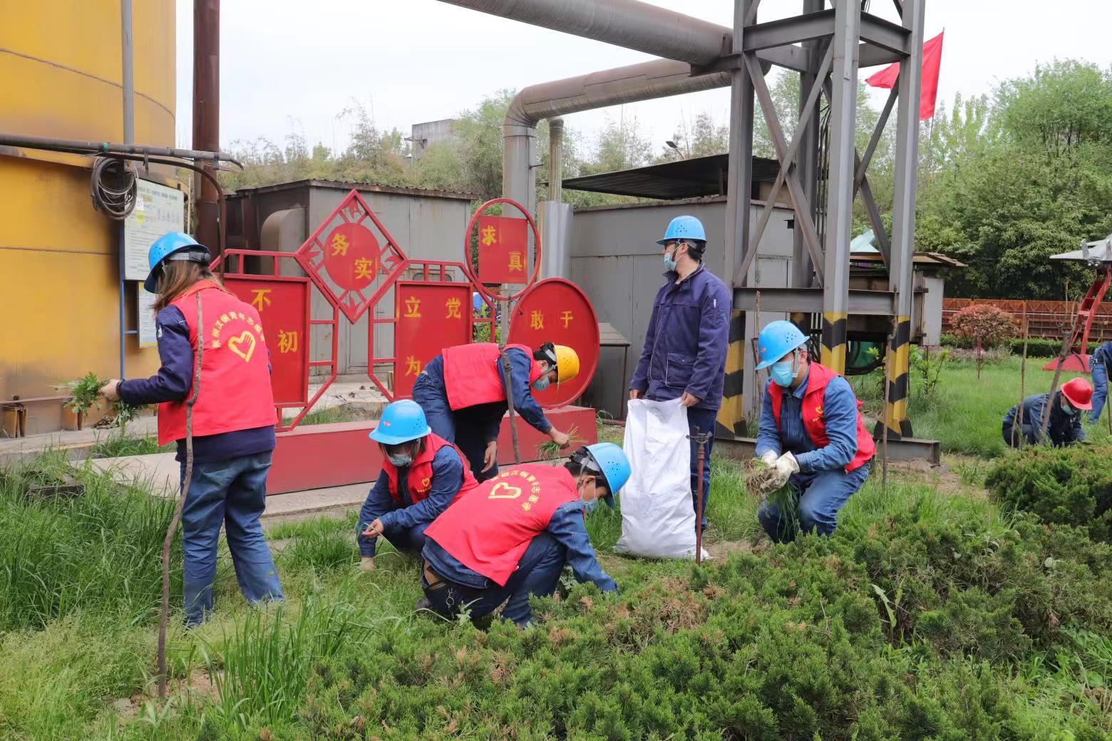 推进爱国卫生运动 让烧结颜值再提升
