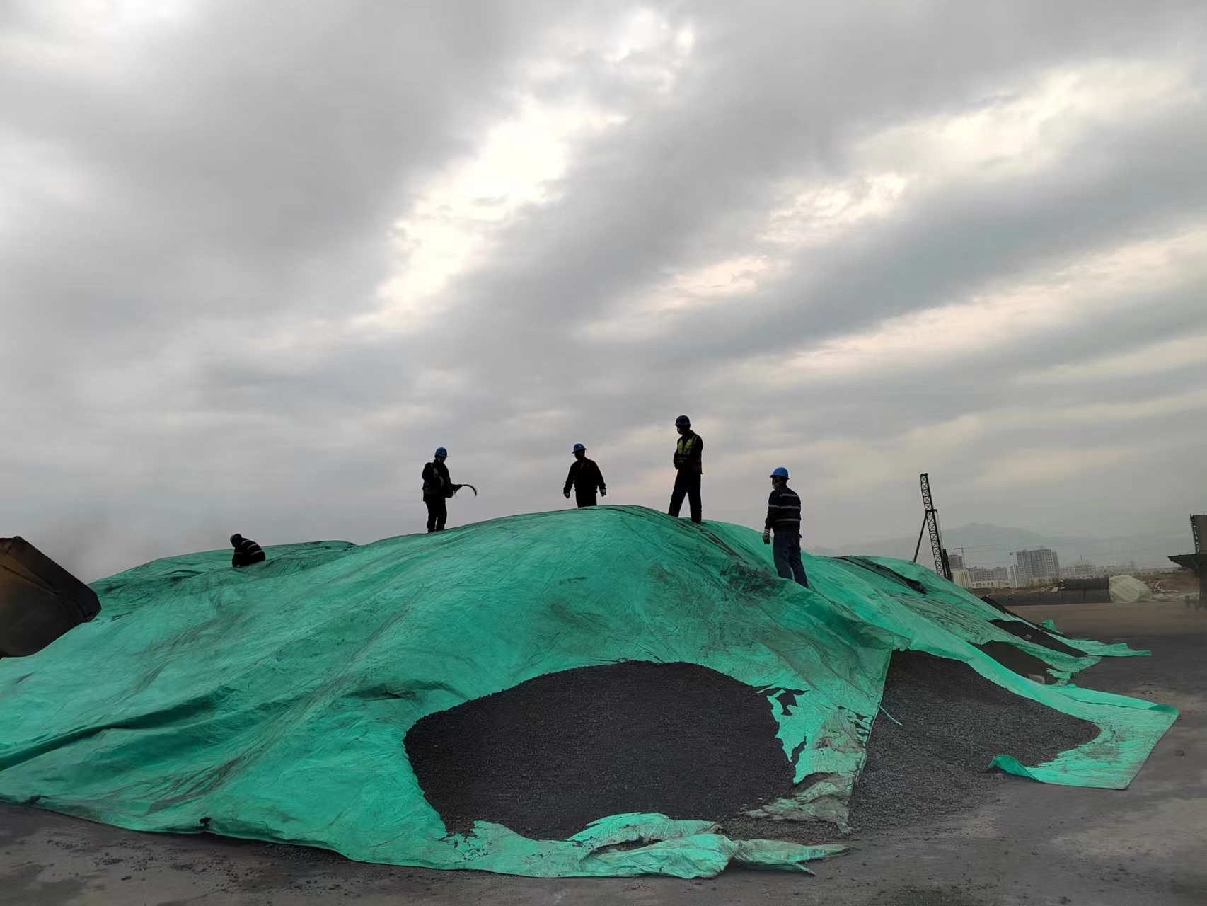 狂风骤雨下的原料“守护人” 狂风骤雨下的原料“守护人”