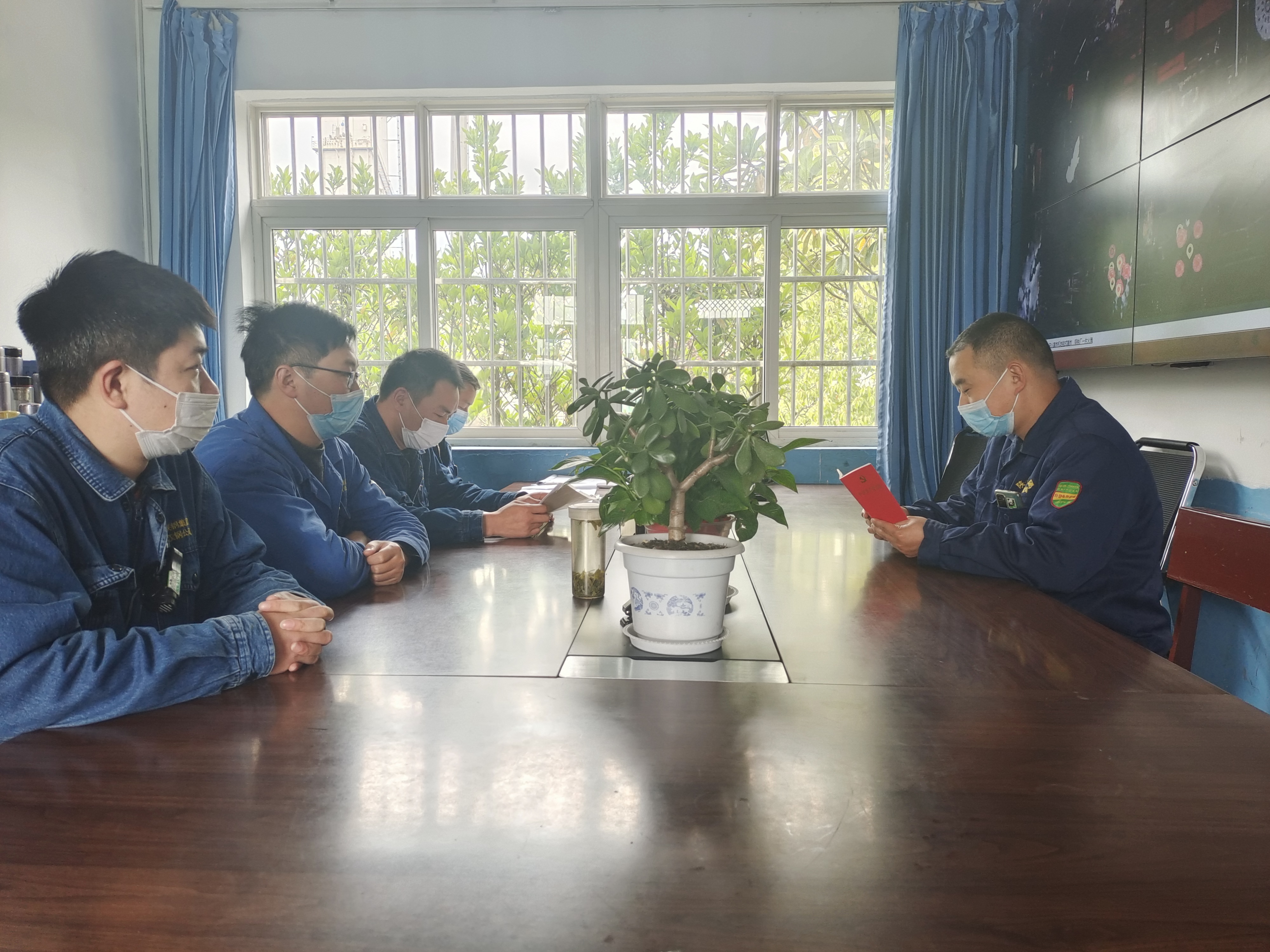 “廉花”盛开“清风”自来 “廉花”盛开“清风”自来