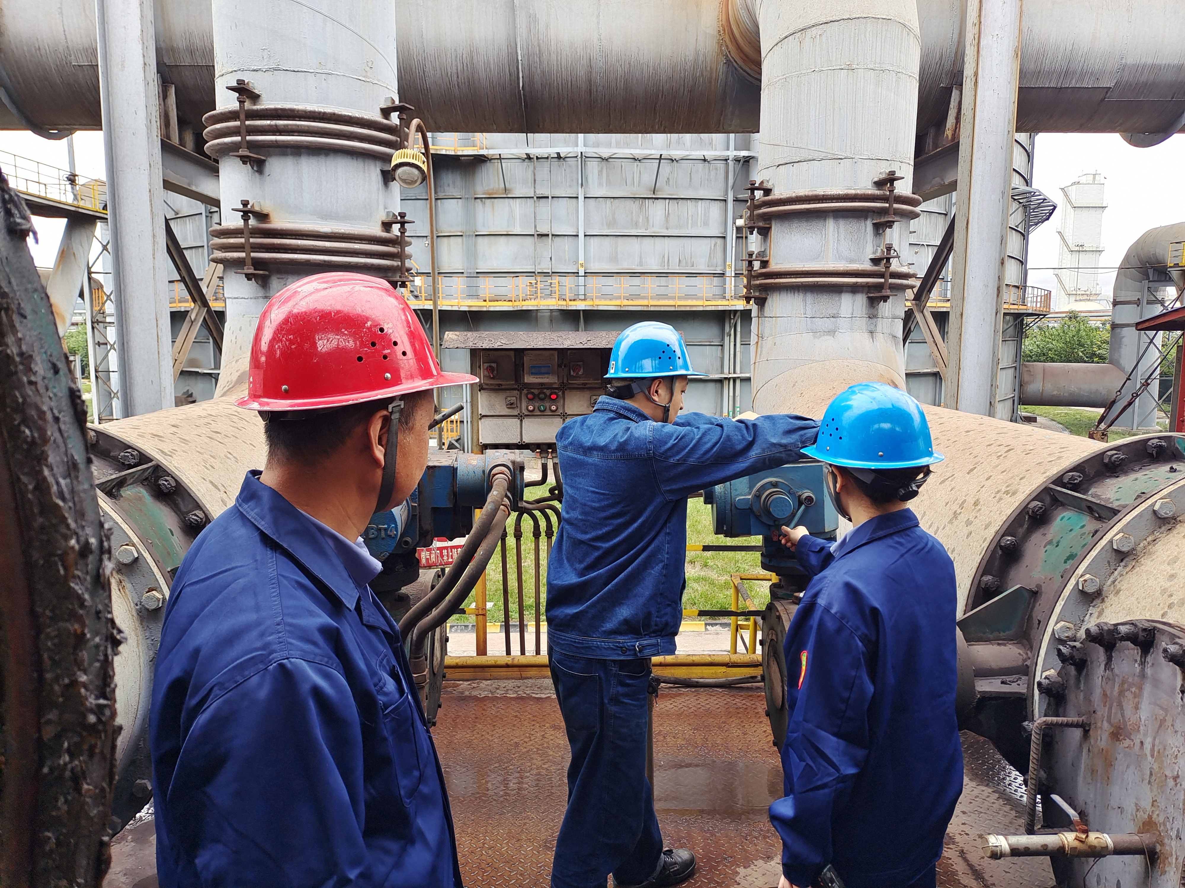 “廉花”盛开“清风”自来