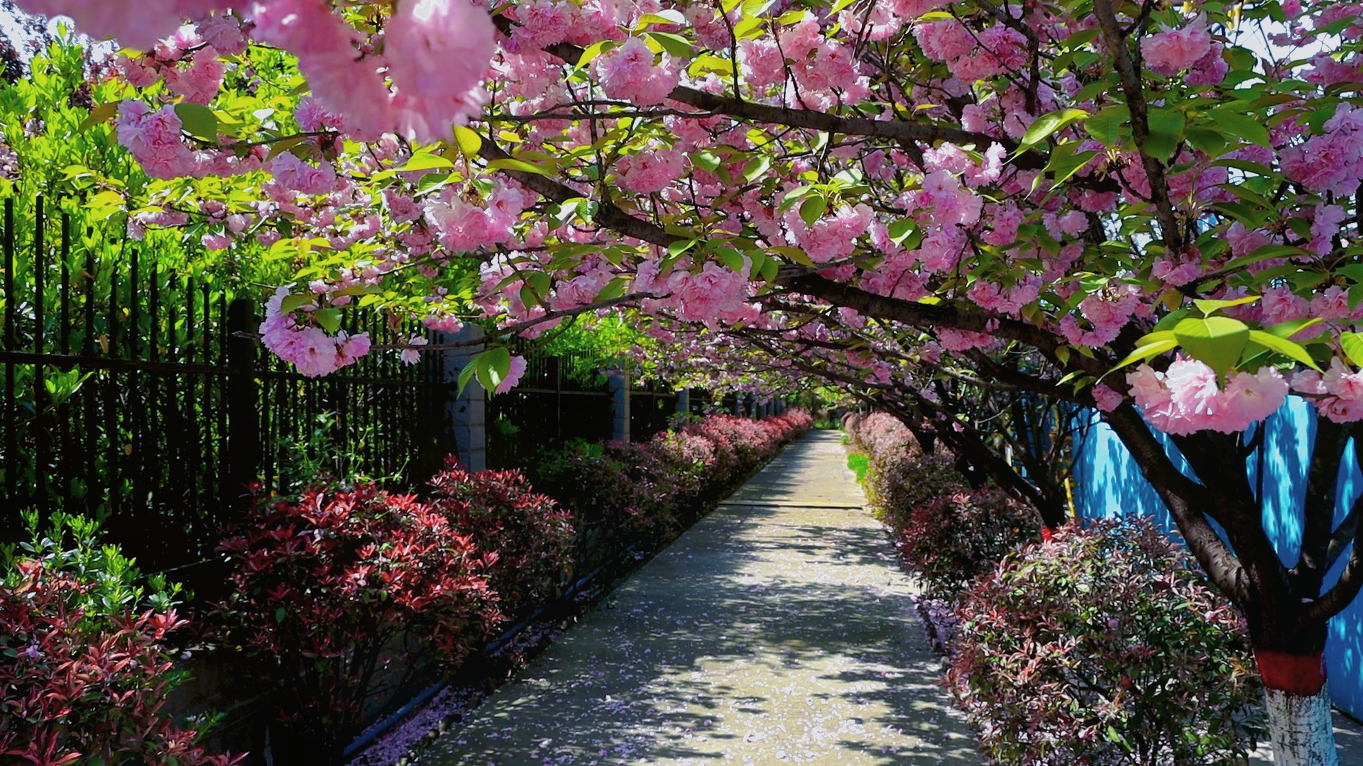 按下“奋进键”不负好时光