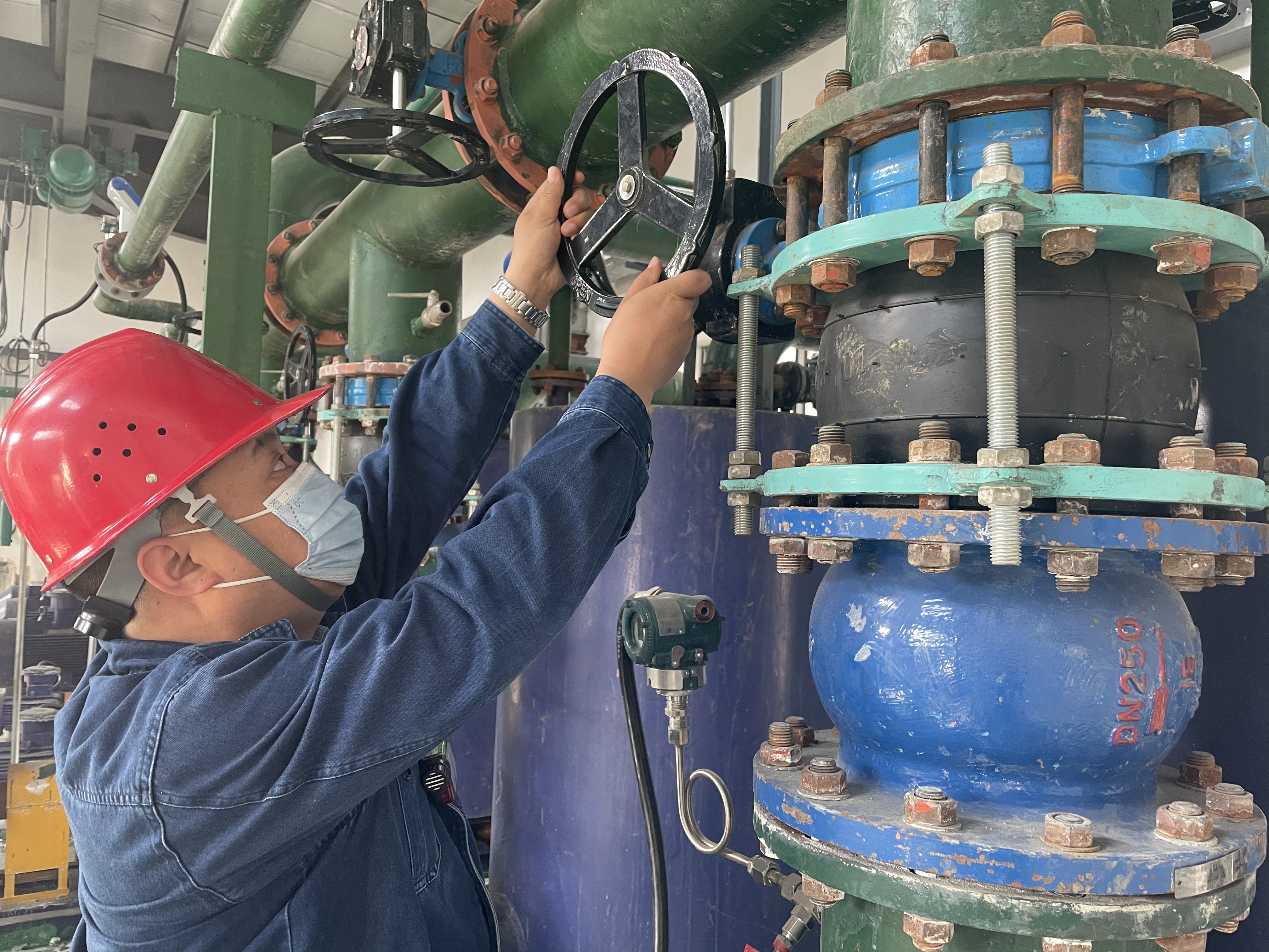 努力“向下扎根” 茁壮“向上生长” 努力“向下扎根” 茁壮“向上生长”