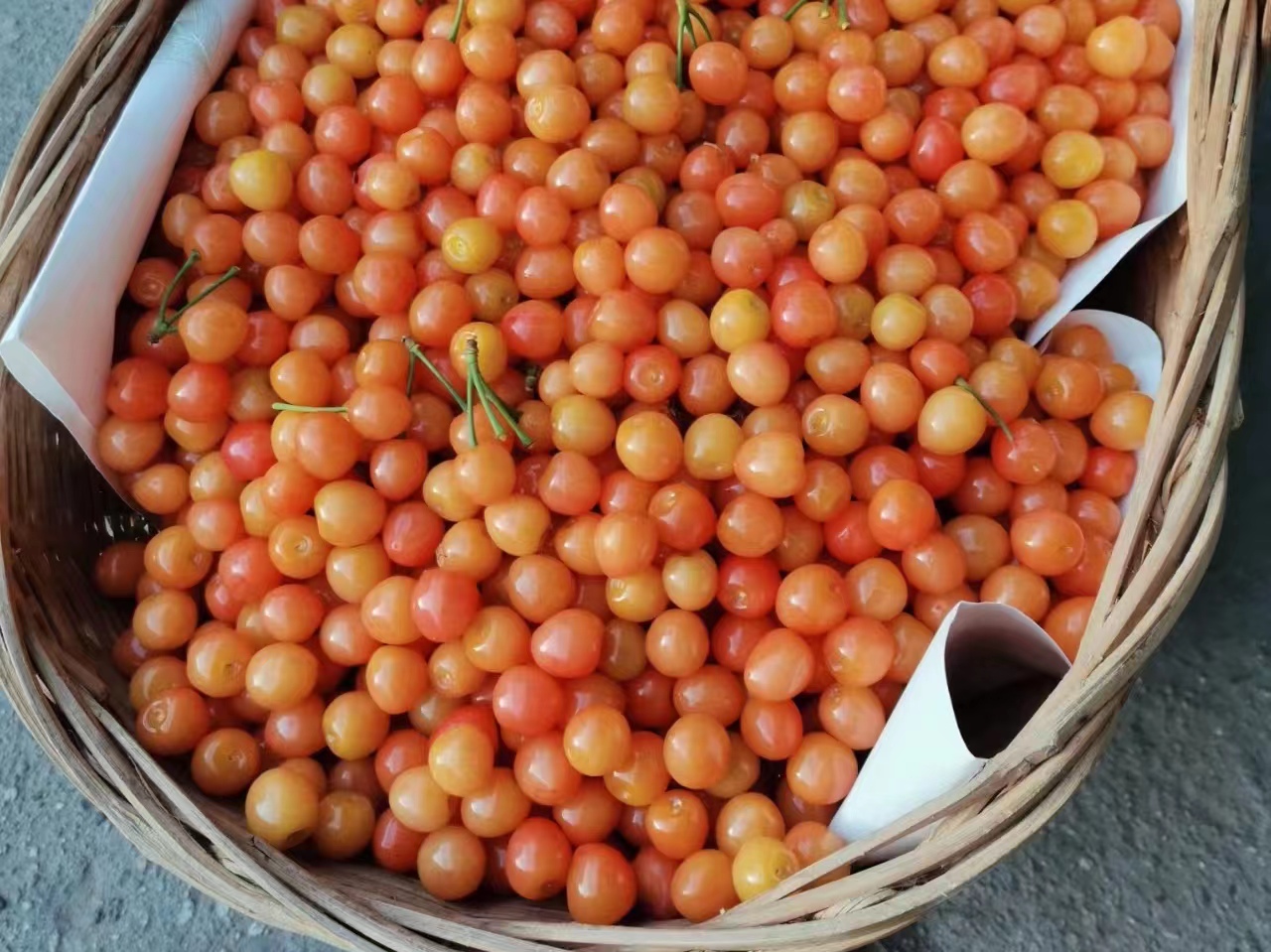 樱桃红时情更浓