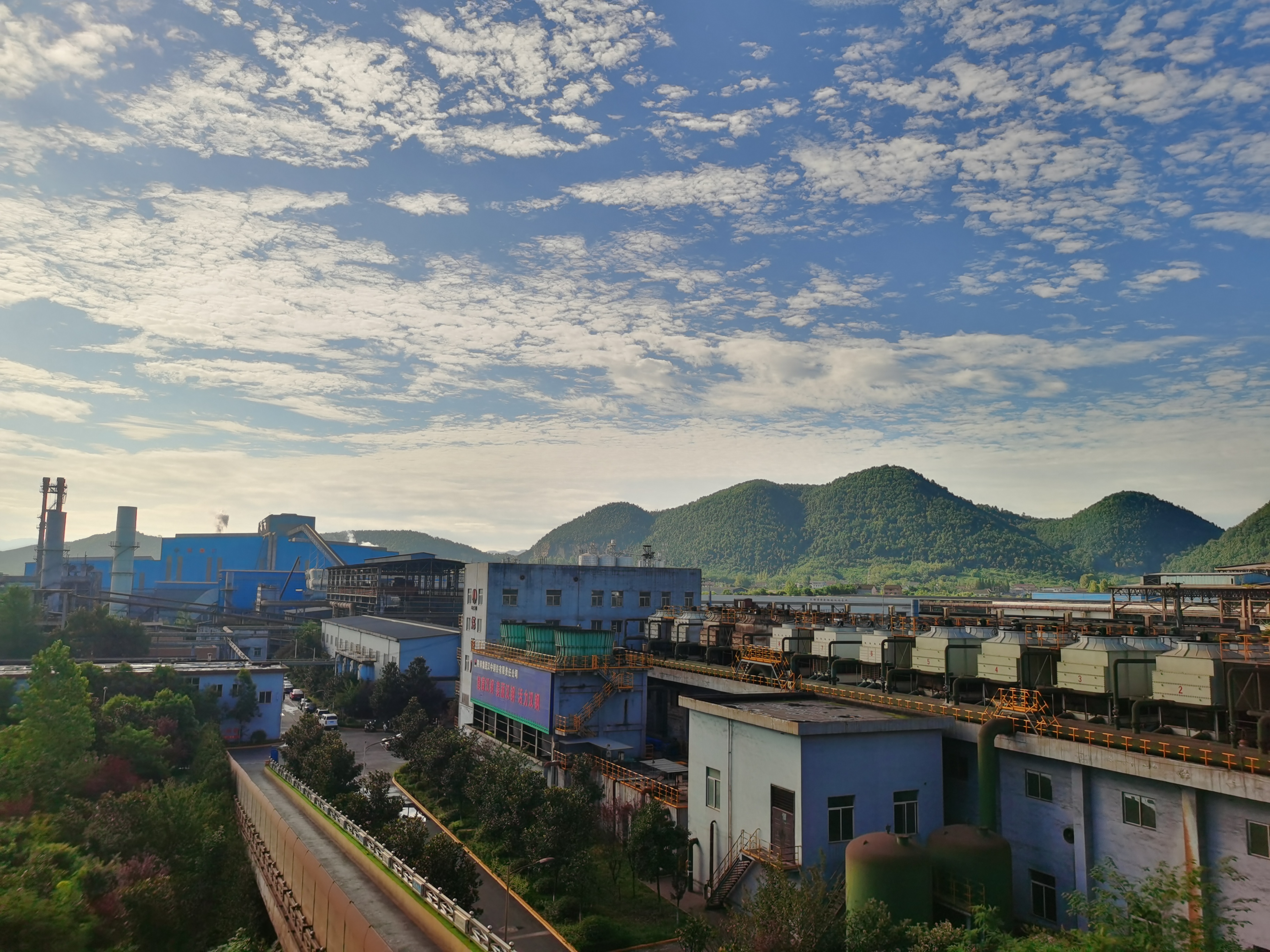 以绿为底绘就高质量发展生态画卷