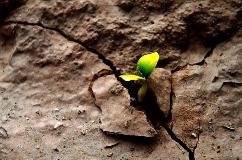 破“茧”成“蝶” 破“茧”成“蝶”