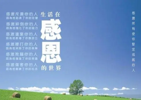 践行“八字要求”,勇于担当甘于奉献——学“感恩、知责、律己、有为”有感 践行“八字要求”,勇于担当甘于奉献——学“感恩、知责、律己、有为”有感