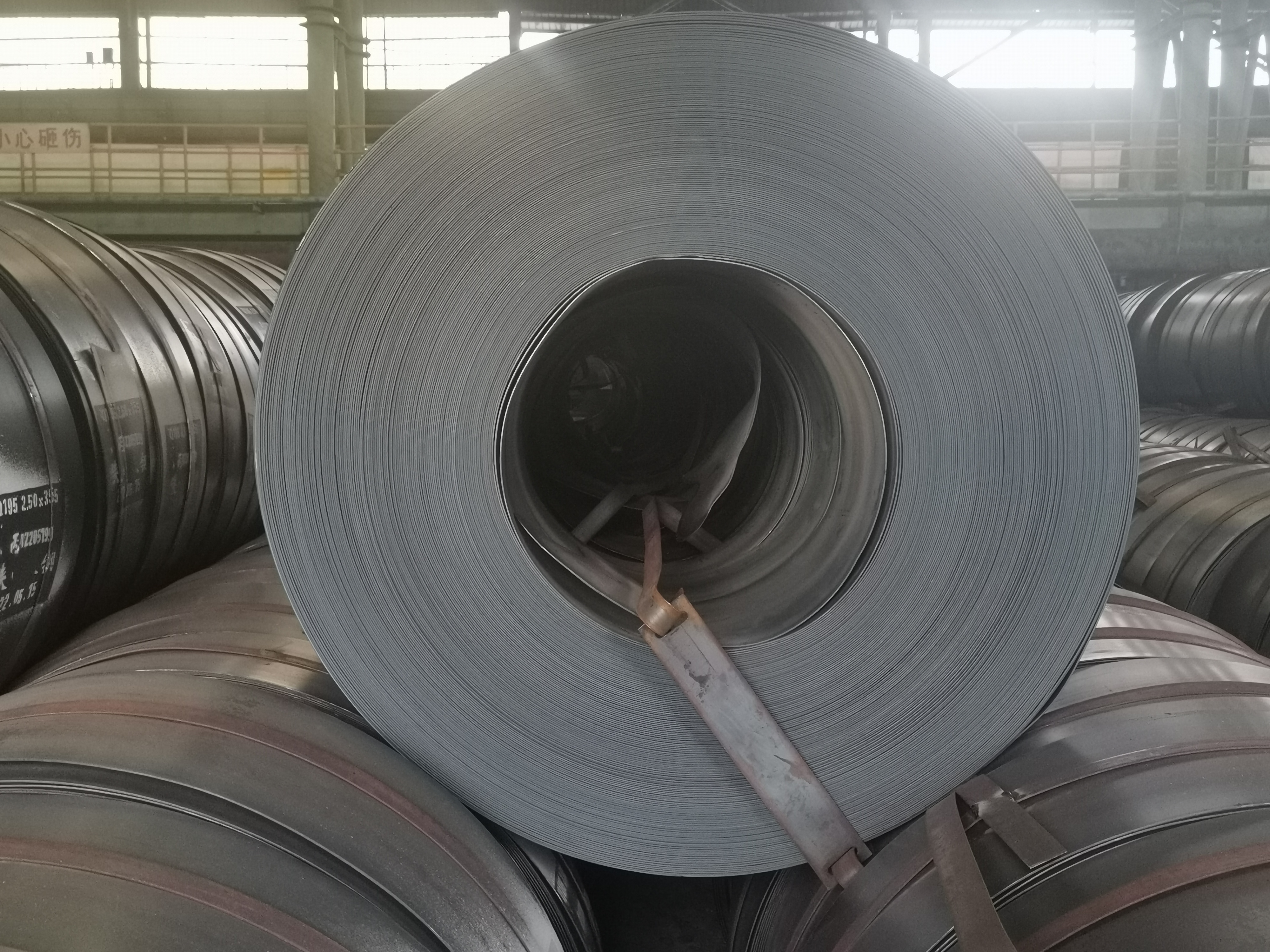 助力“品牌”建设，点亮“禹龙蓝”招牌