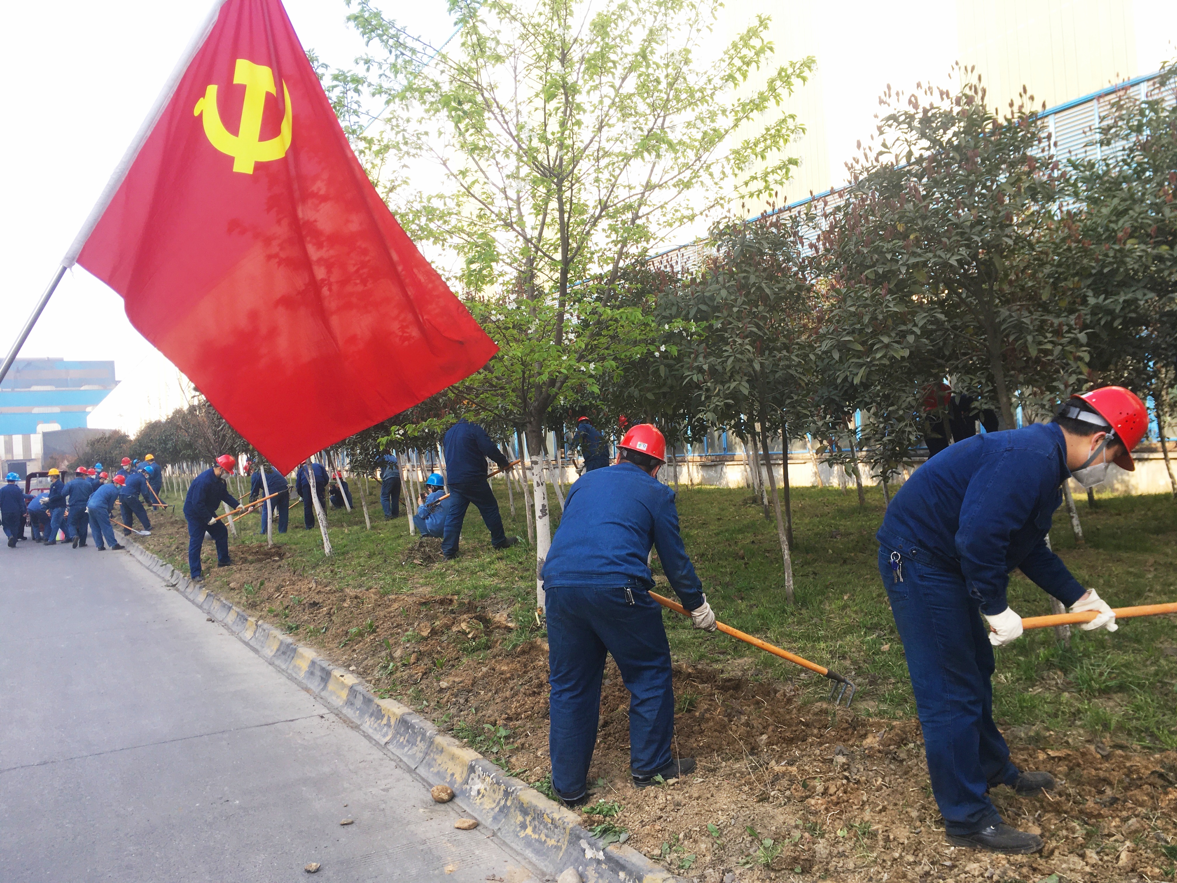 坚持“党建红”引领 擘画效益轧钢蓝图 坚持“党建红”引领 擘画效益轧钢蓝图