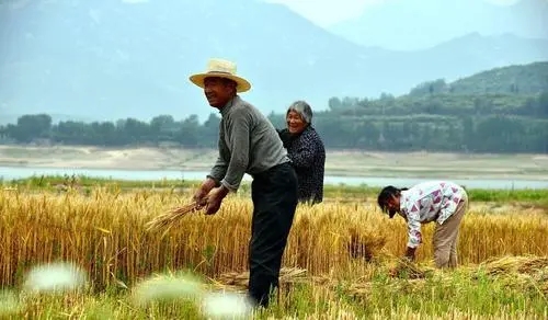 又是一年六月天 又是一年六月天