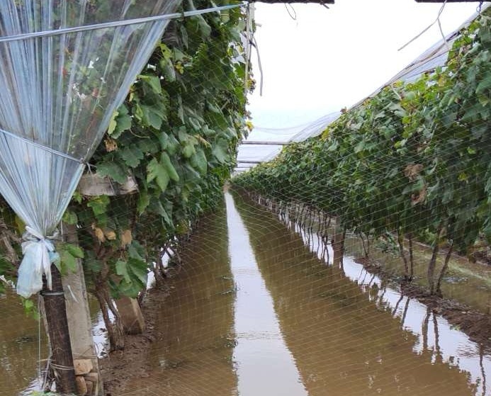 伴我成长的“乐园”