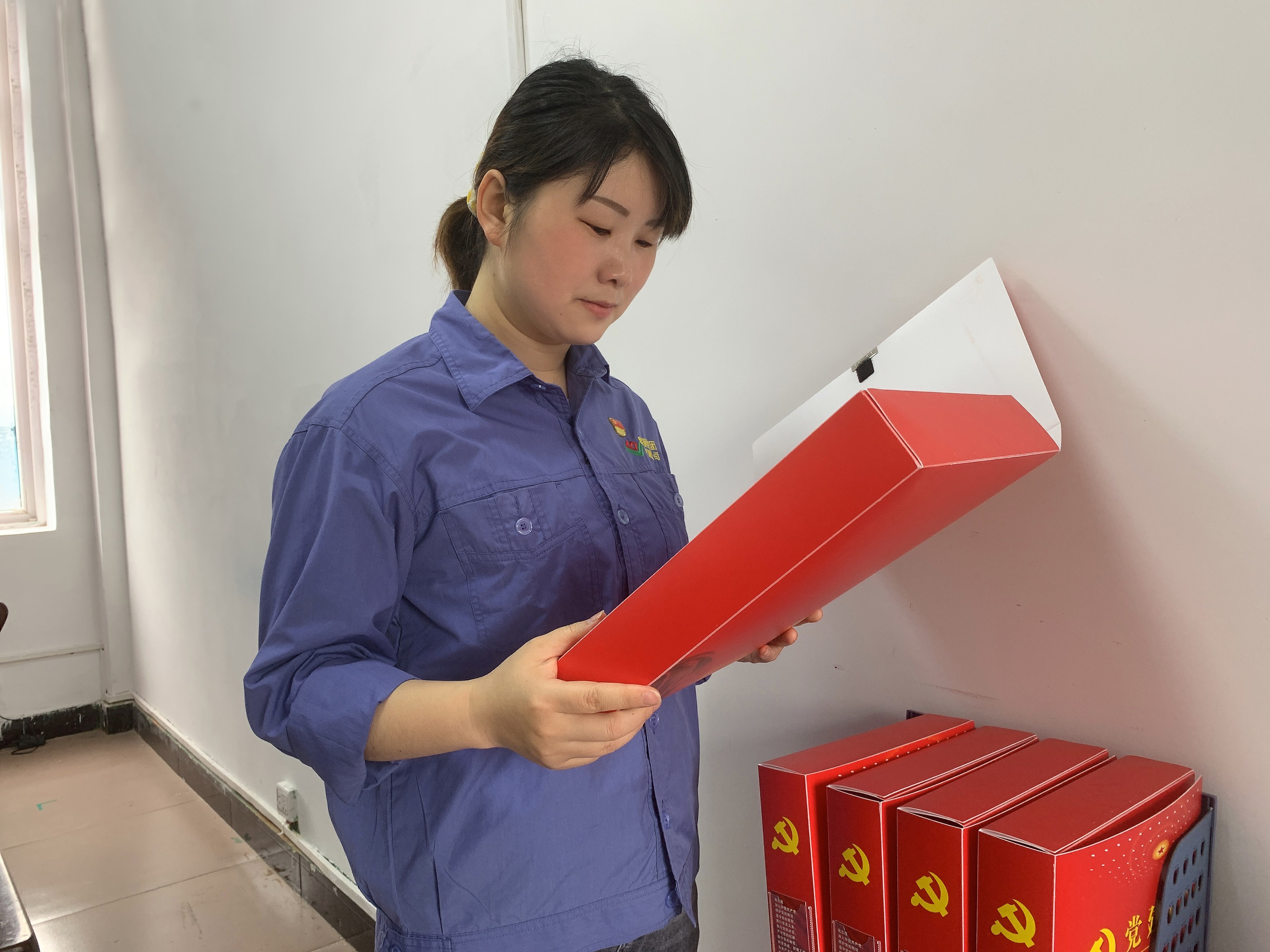 初心，在党旗下闪耀---记陕钢集团汉钢公司“优秀党委工作者”李培