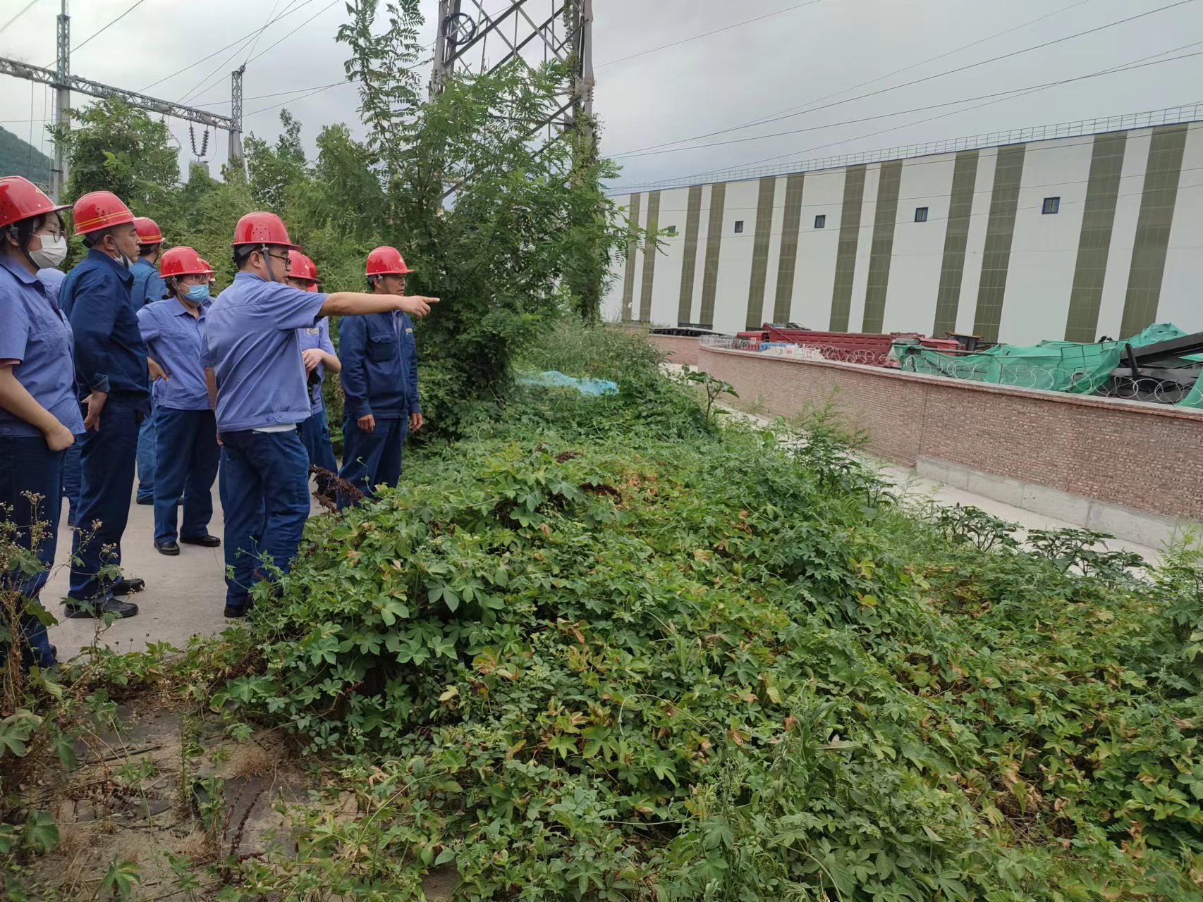 党员干部齐发力 织牢保障“服务网”