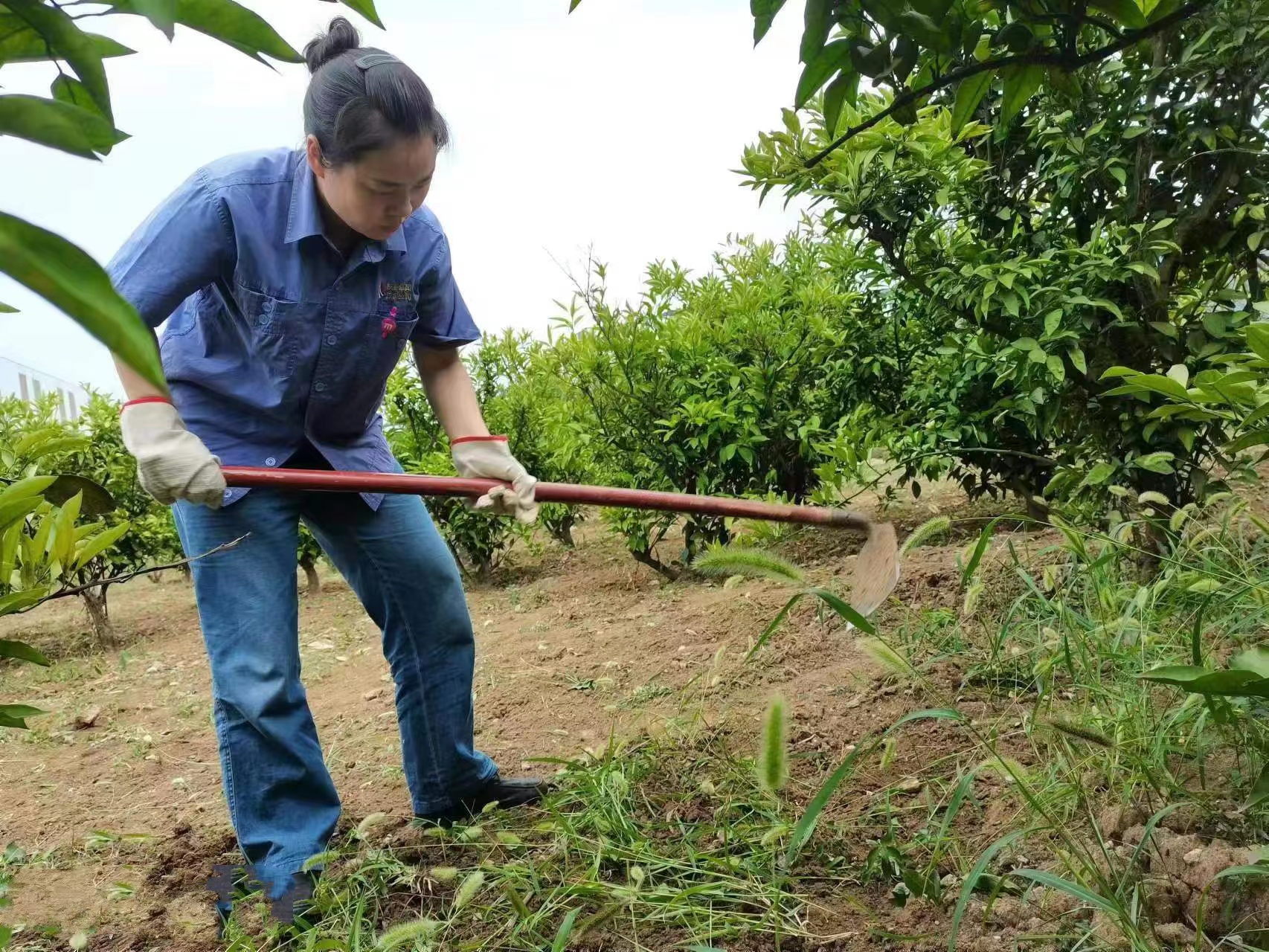 “钢花”朵朵悄然开 初心不改筑钢城 “钢花”朵朵悄然开 初心不改筑钢城