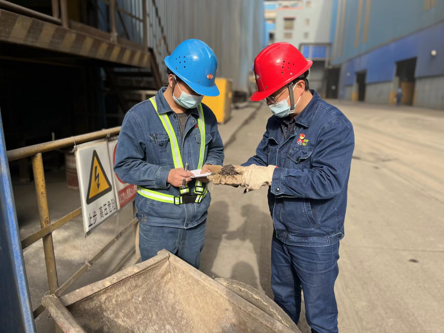 向下扎根，汲取向上生长力量