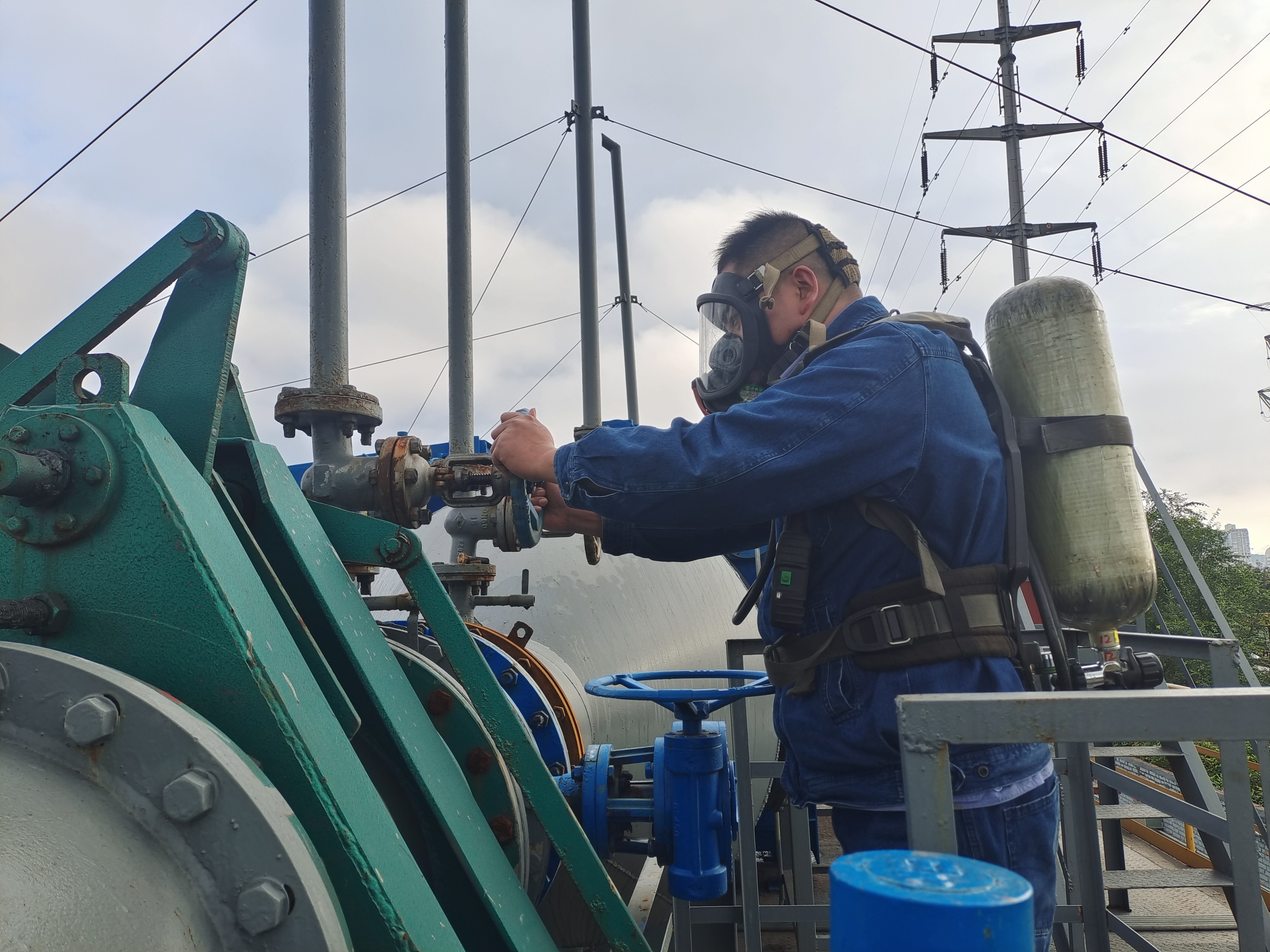 “青”力而为  他们有模有“YONG”