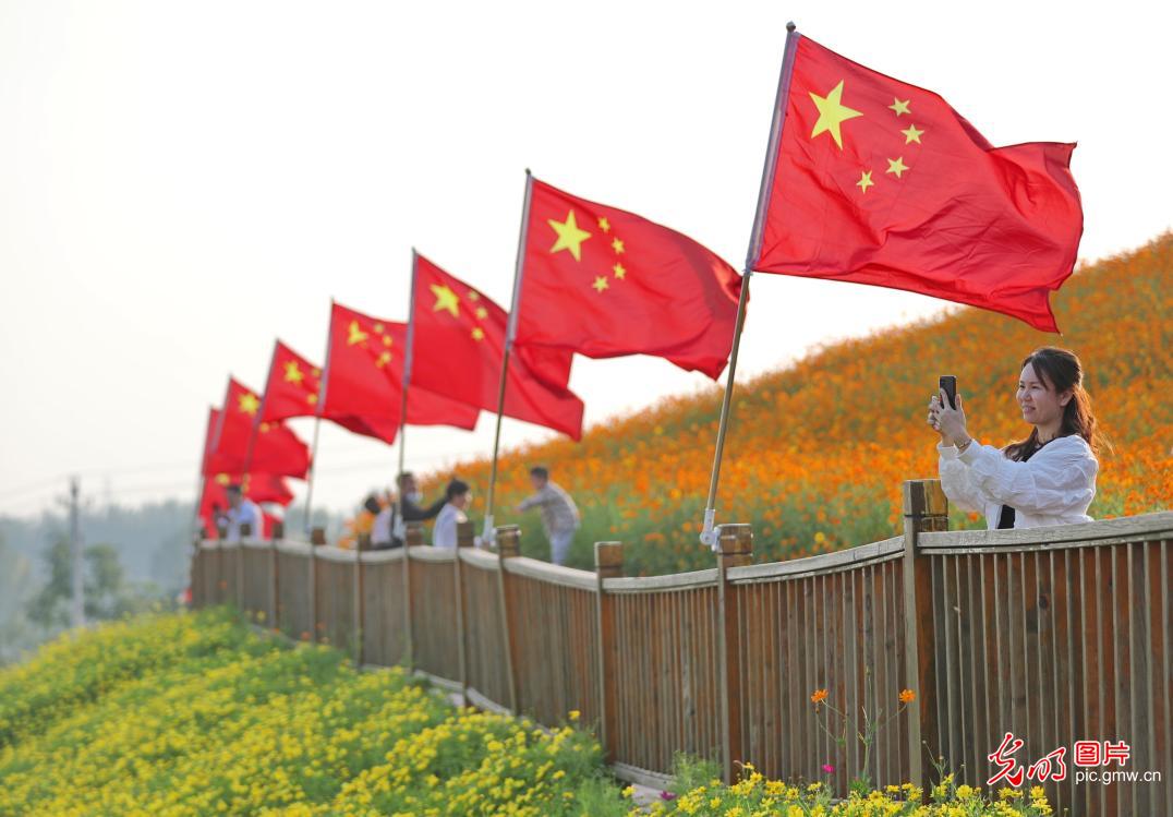 山河已秋，见证光阴的勋章