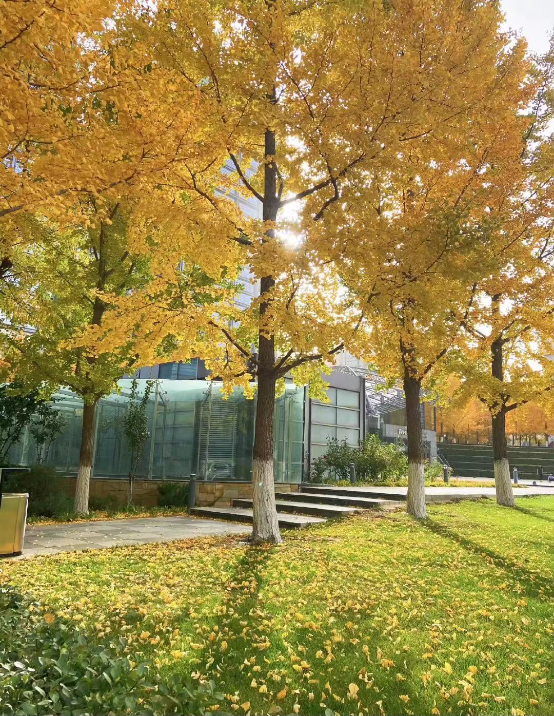 迎秋蓄冬只为破春