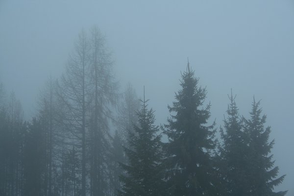 天荡山深秋雨后语
